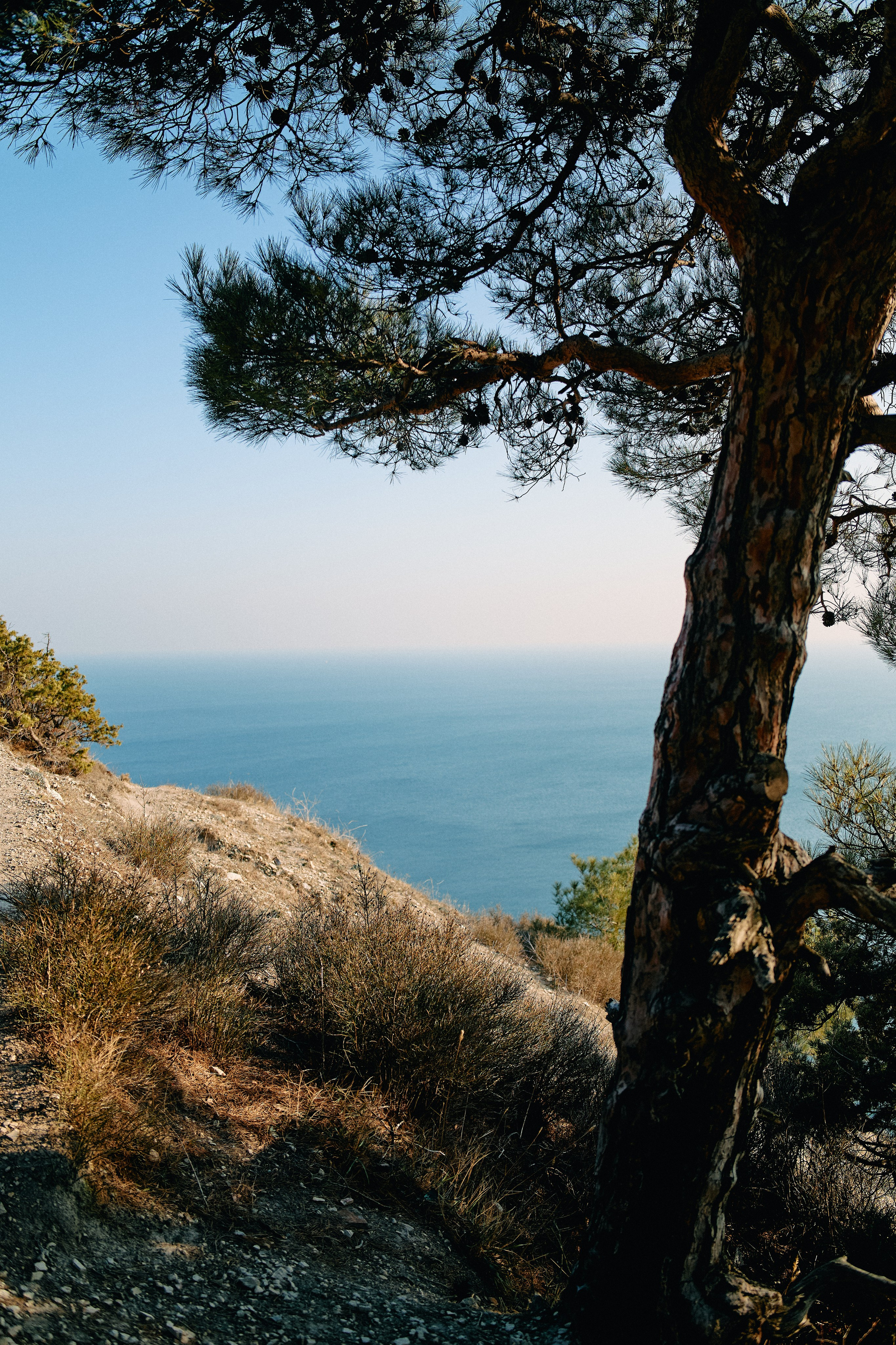 Юг России. Профессиональный Фотограф во Владимире, в Москве и в Суздале — Полина Романычева