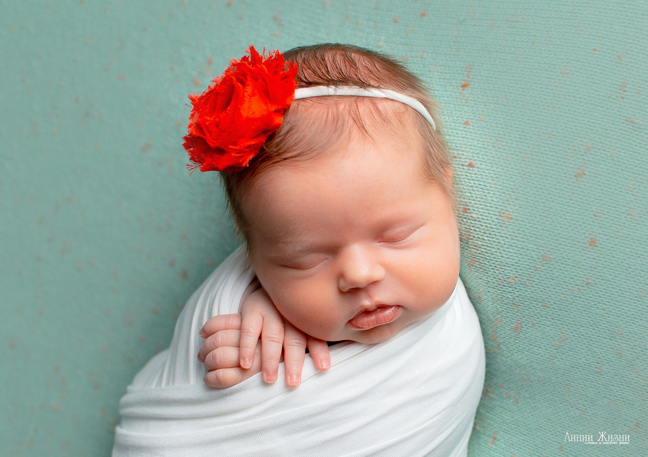 Ксения 7 дней. Фотограф новорожденных в Нижнем Новгороде Сергеева Оксана