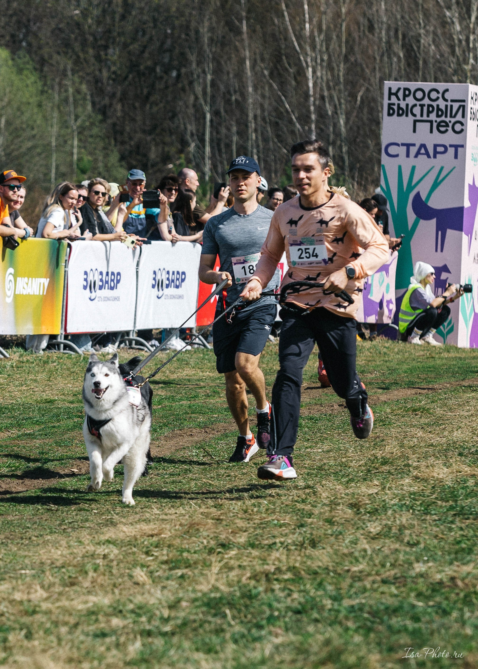 Кросс «Быстрый пёс» 2025. Репортажный фотограф в Москве