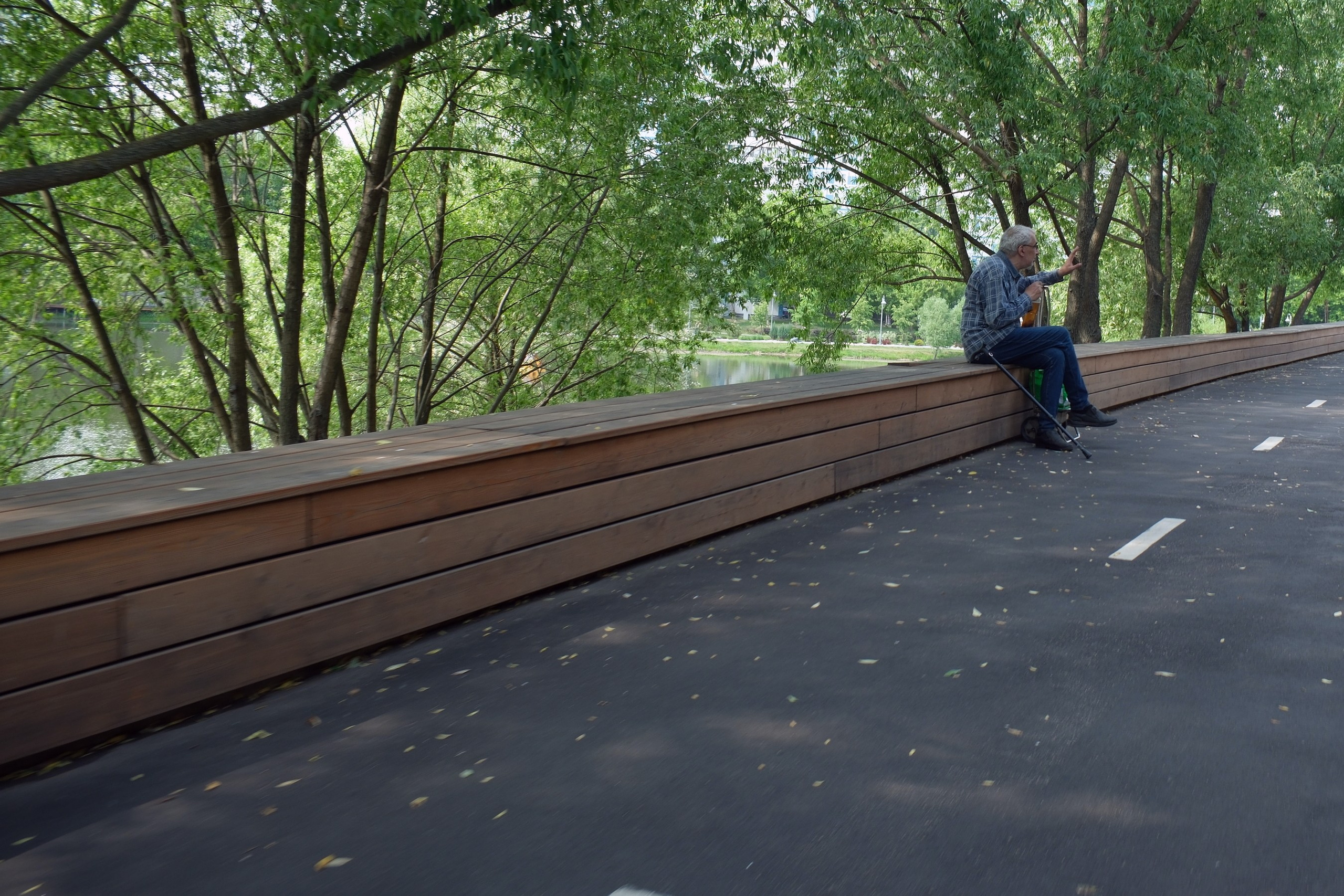 31.05.2025. Покровский парк. Активное долголетие. Улица, люди, жизнь…