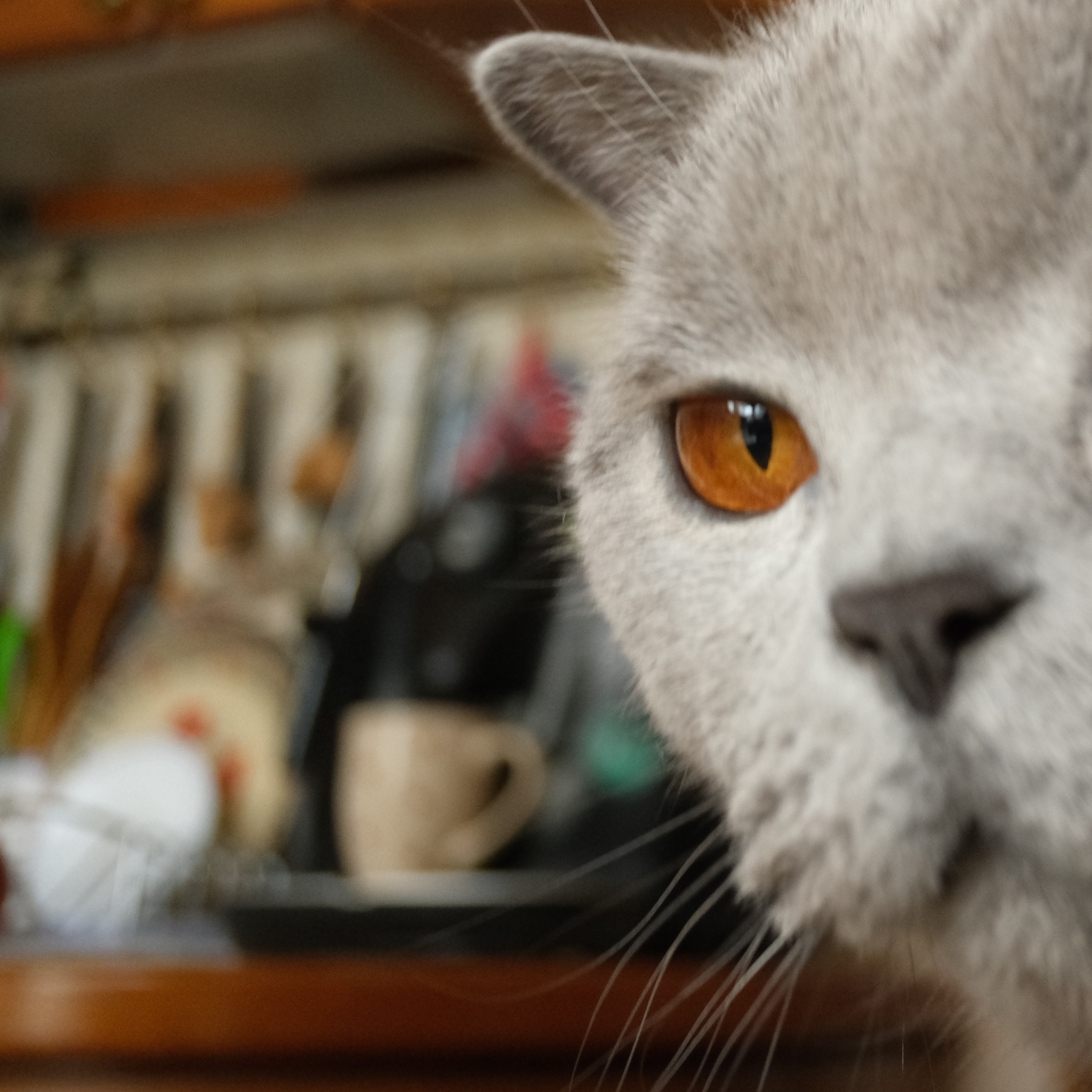 Улица, люди, жизнь…