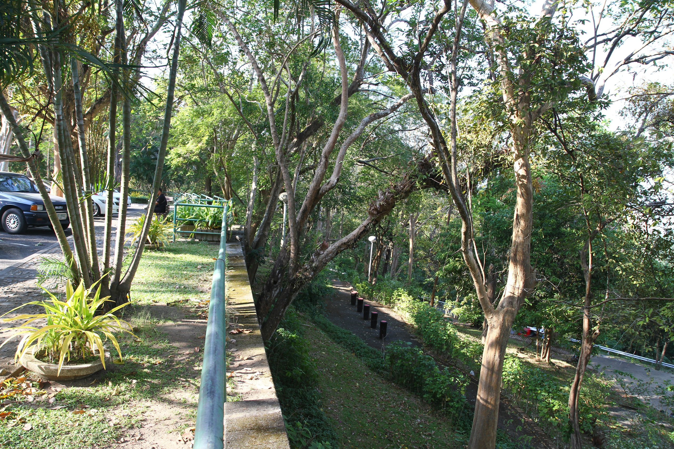 Тайланд. Пхукет 2013. Улица, люди, жизнь…