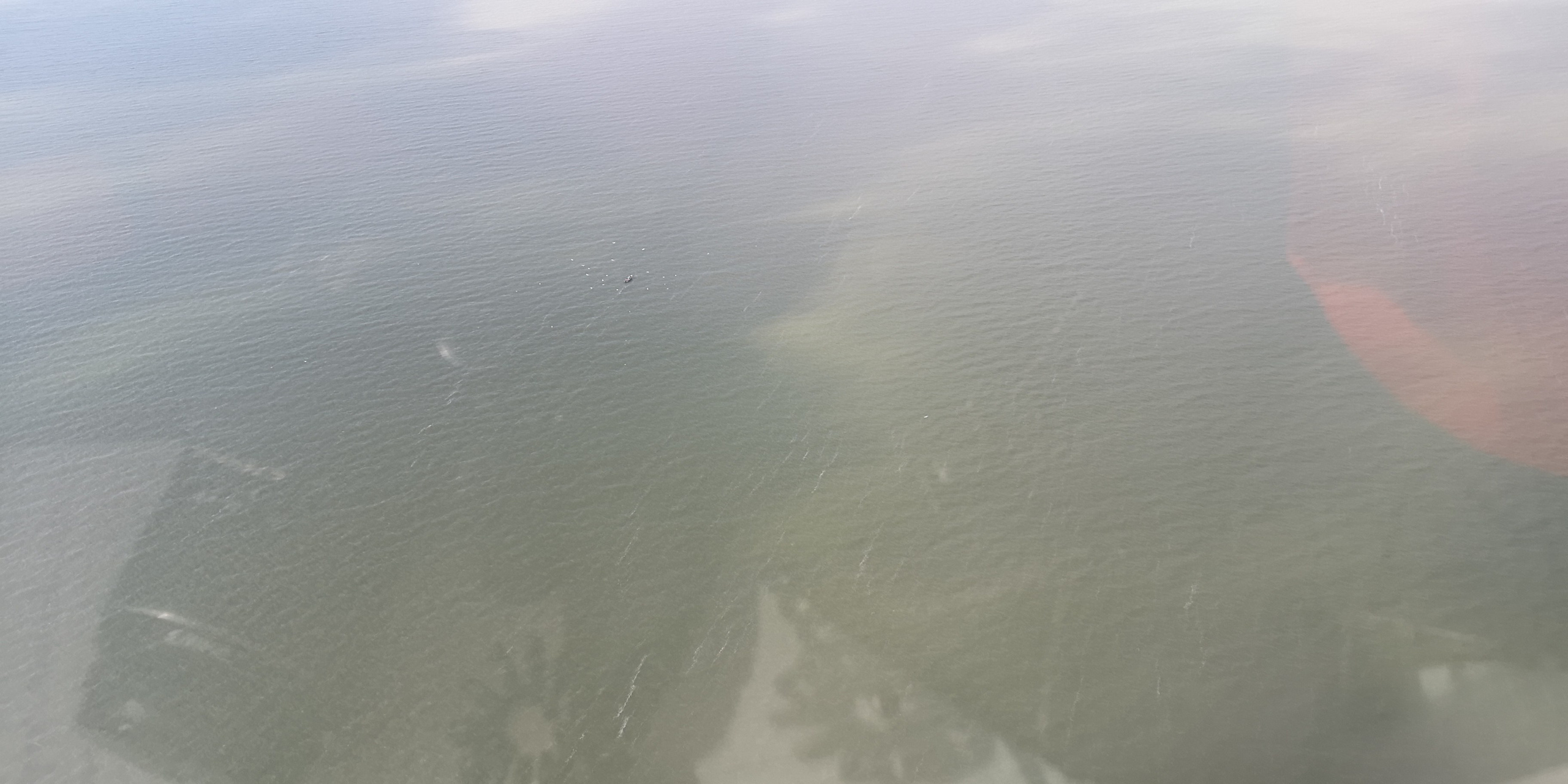 Каспийское море (наука на Ла-8) (2021 г.). Фотоальбом показывающий увлекательный мир авиации и мир медведей Андрея Иванова