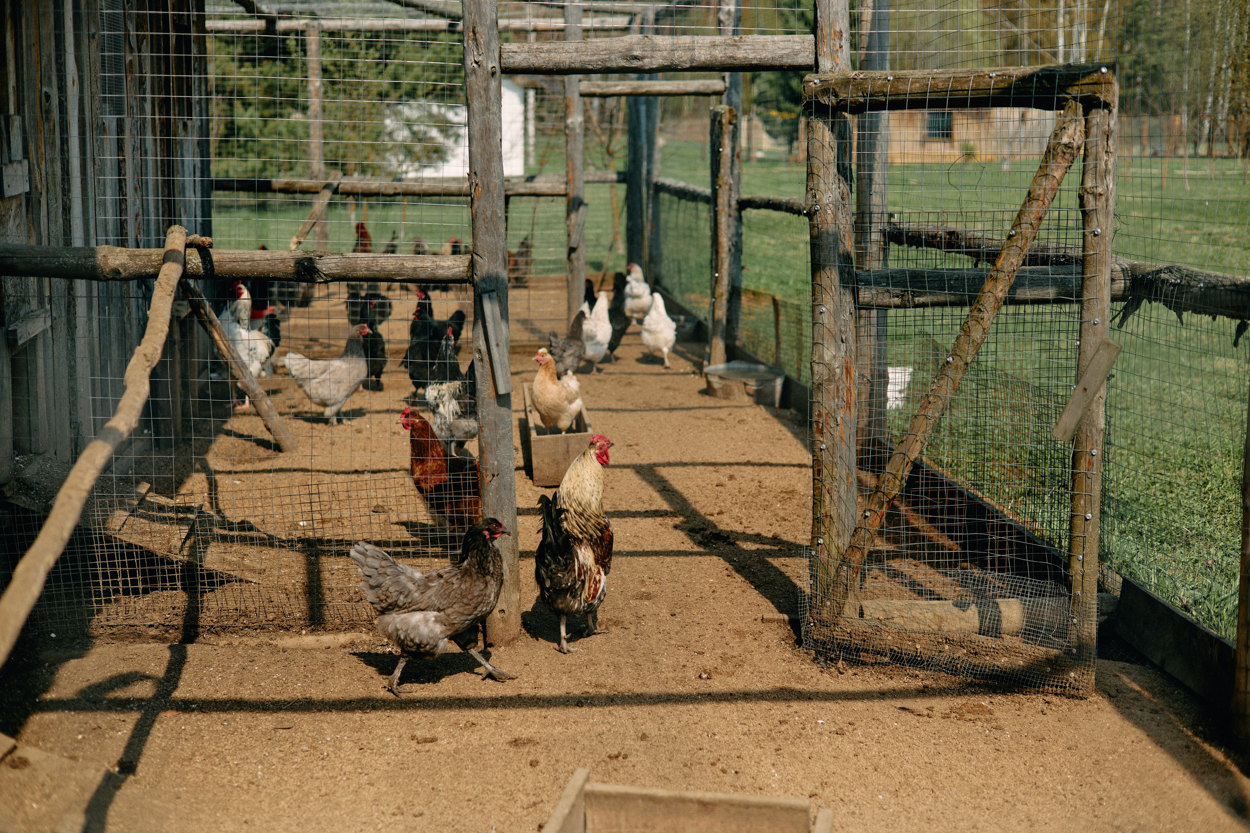 Бутик-отель Поле летом. Профессиональный Фотограф во Владимире, в Москве и в Суздале — Полина Романычева