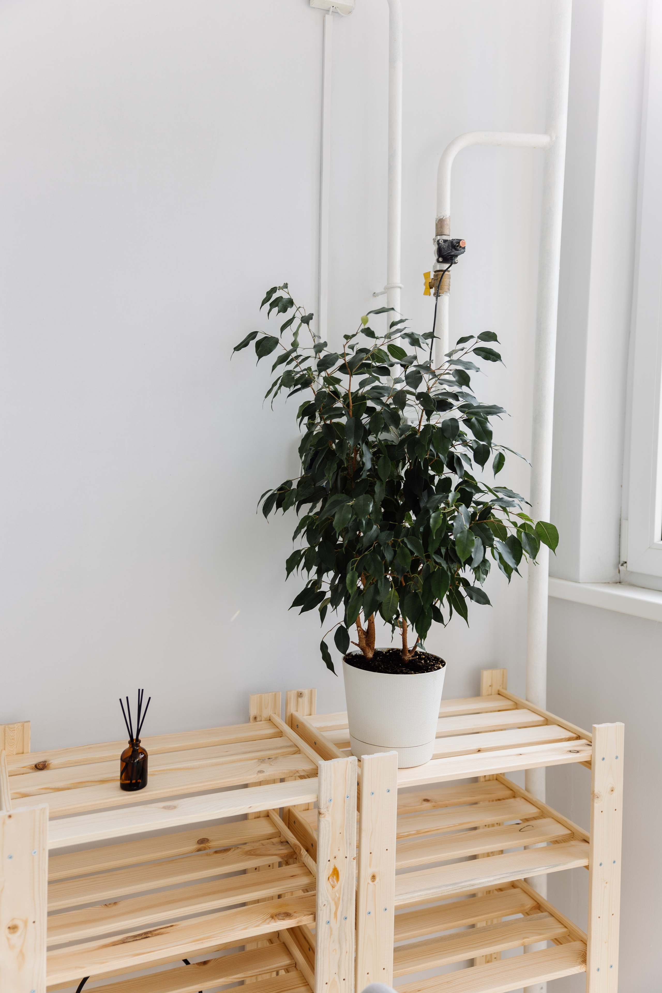 Недвижимость. Майорова Валерия Фотограф Ставрополь