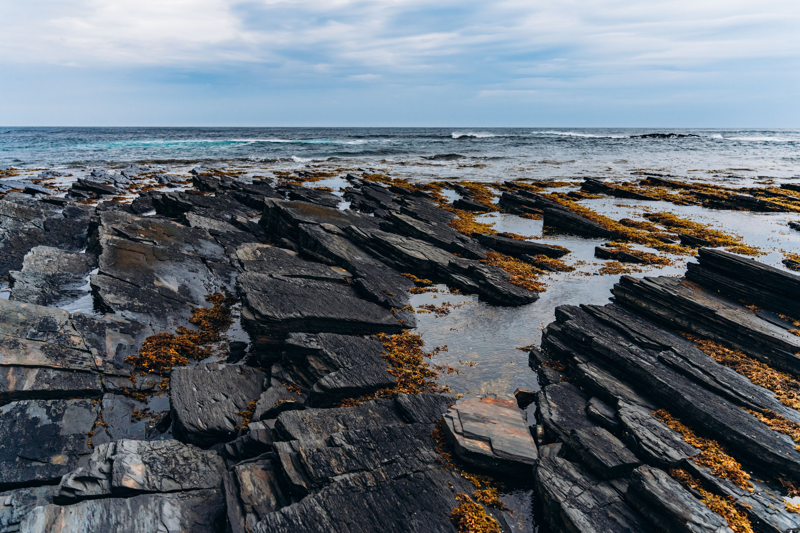 СЕВЕР. Event фотограф Степанова Александра