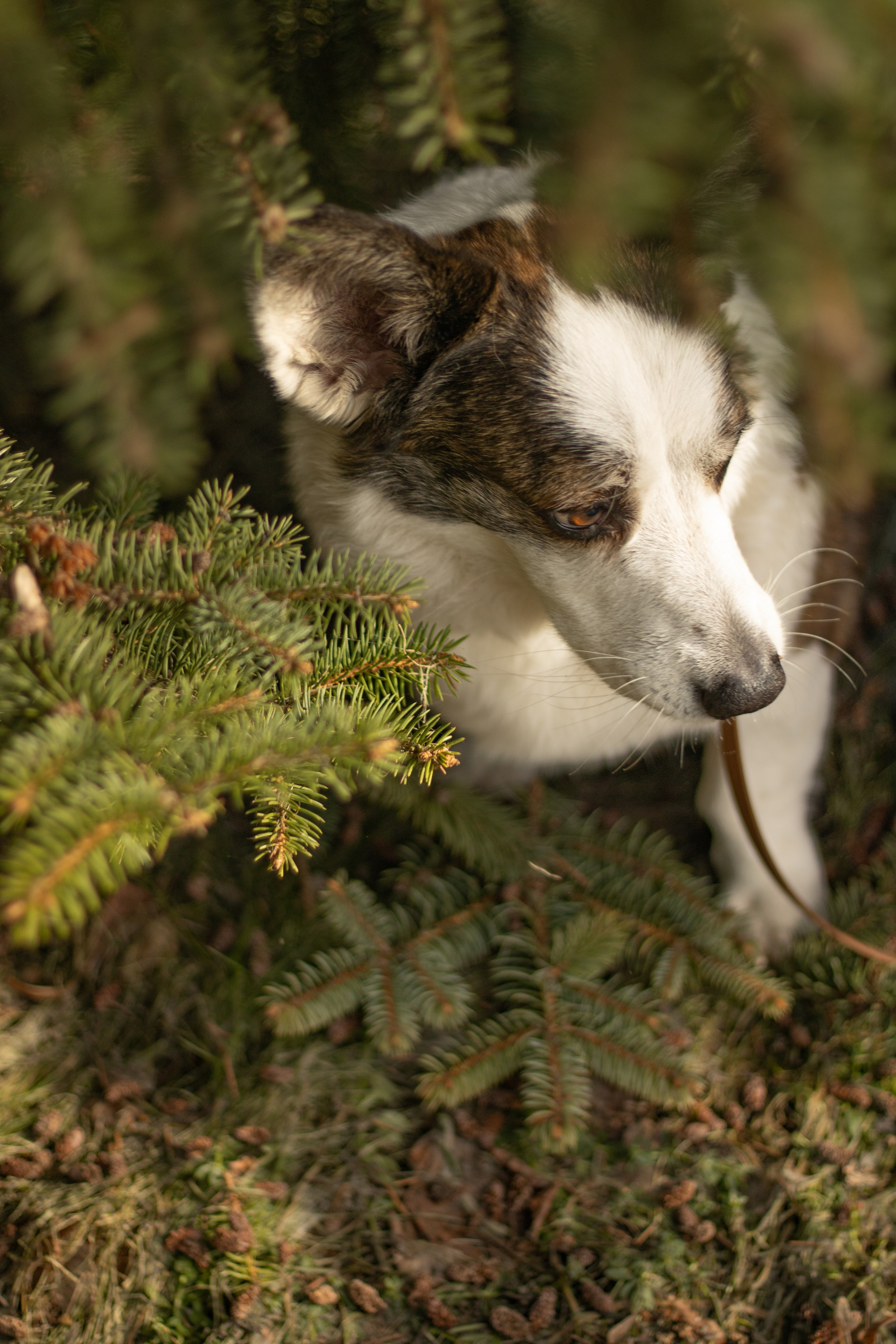 Юлия и Тэя. Катя Попова|ЛайфСтайл фотограф