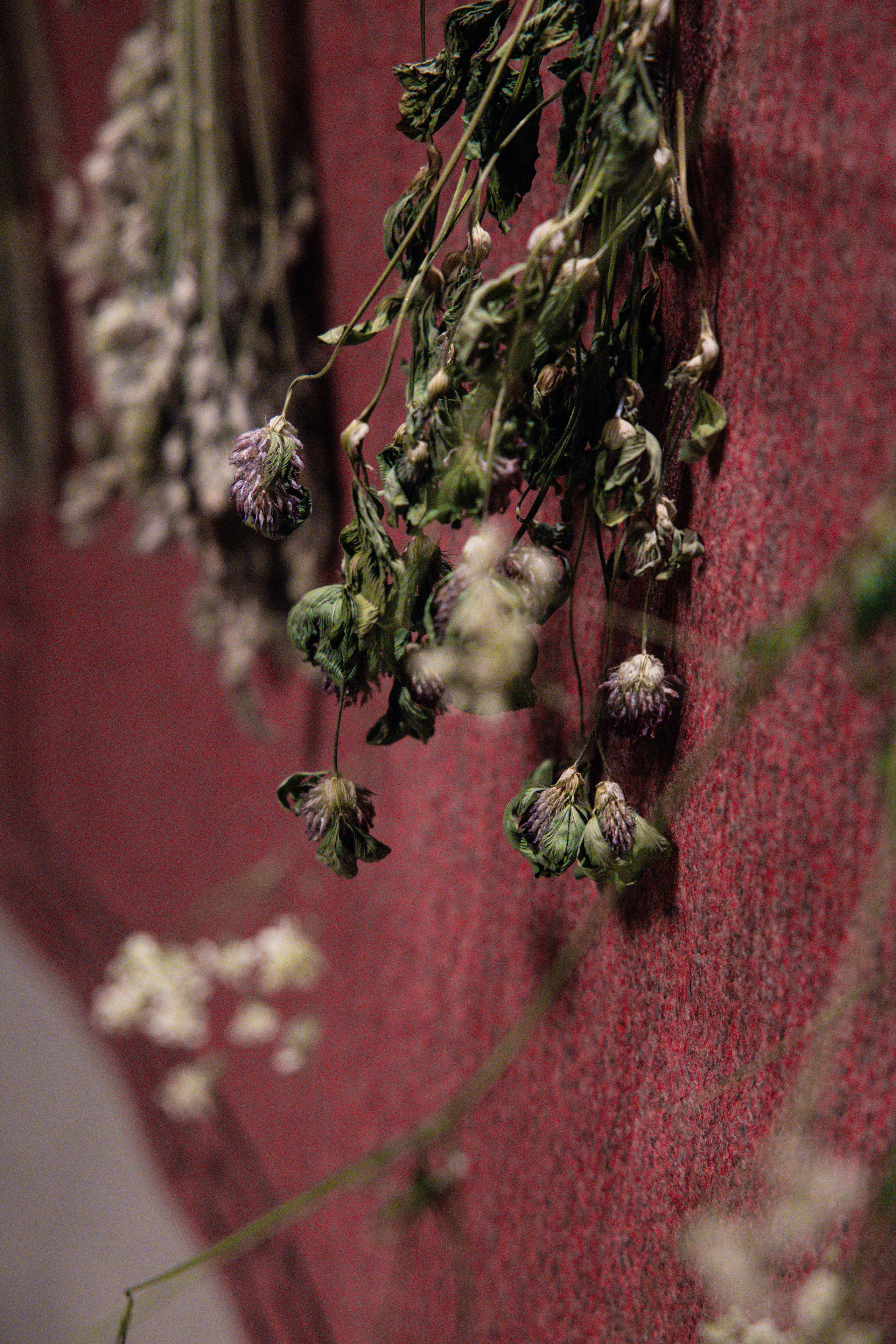 Сказка (короткометражный филь) день второй. Фотограф/видеограф в Санкт-Петербурге Динара Гольдина