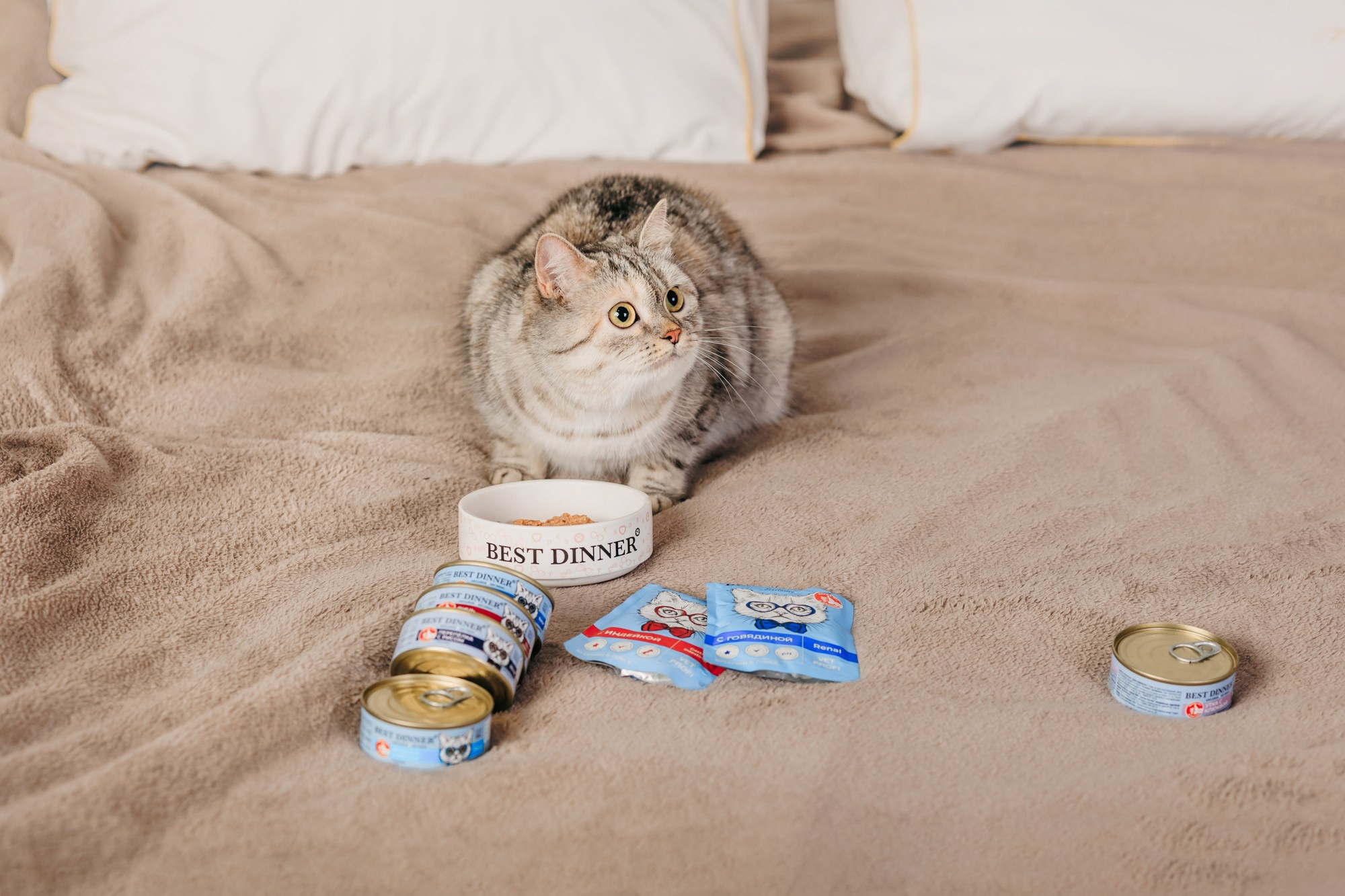 Корма Best Dinner. Фотограф-анималист Елена Радченко, Москва