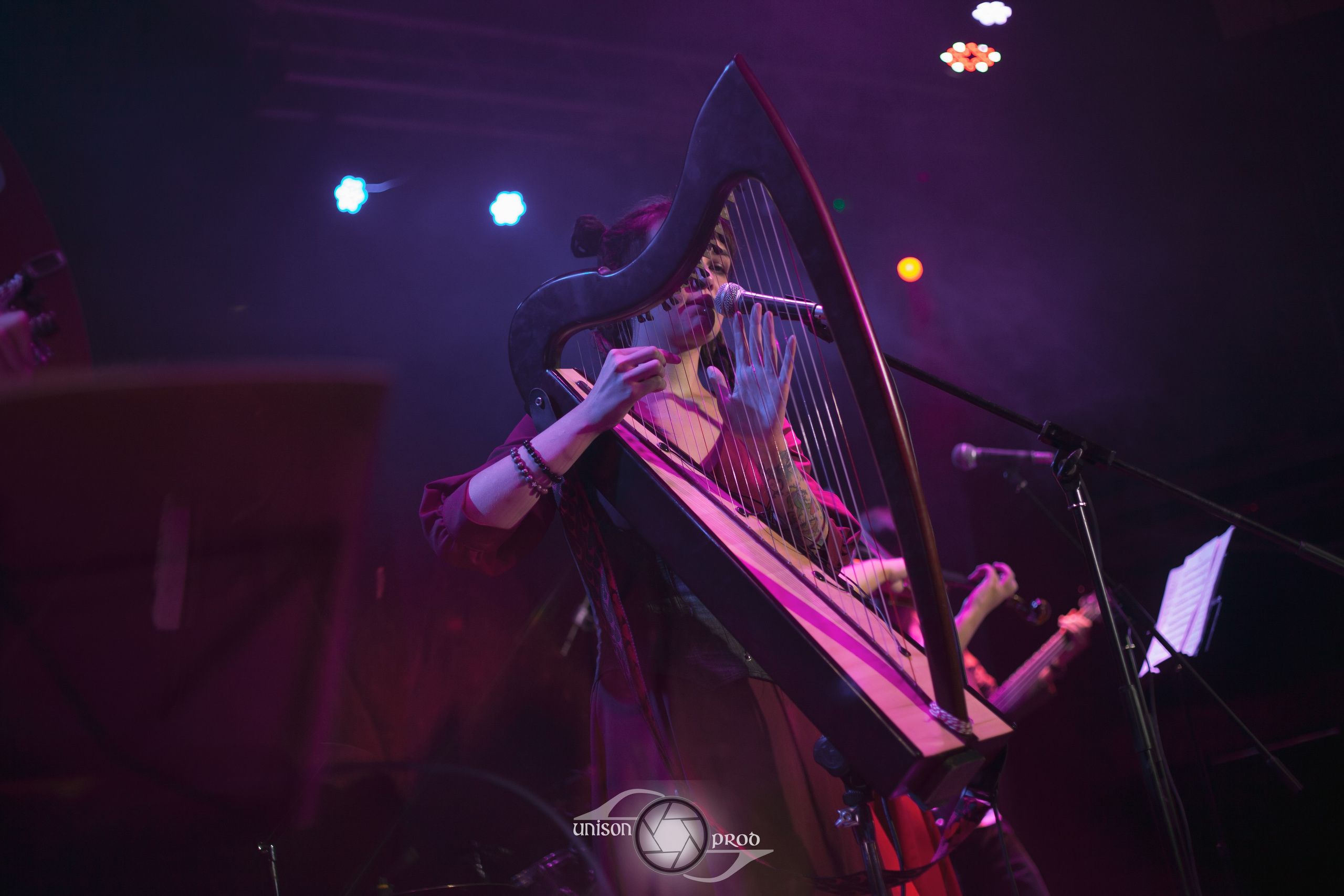 Фолк-вечер в «MEZZO FORTE». Фотограф Ellairen