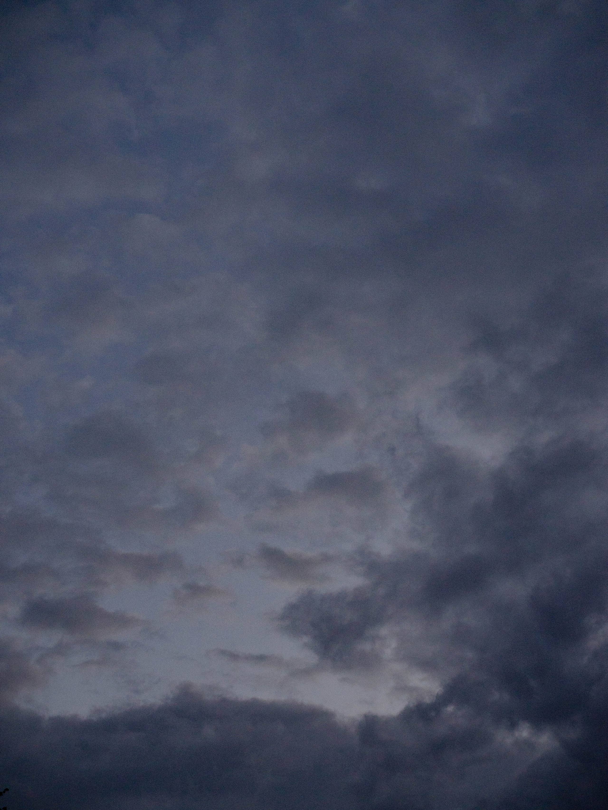 L. @dariazphoto свадебный фотограф