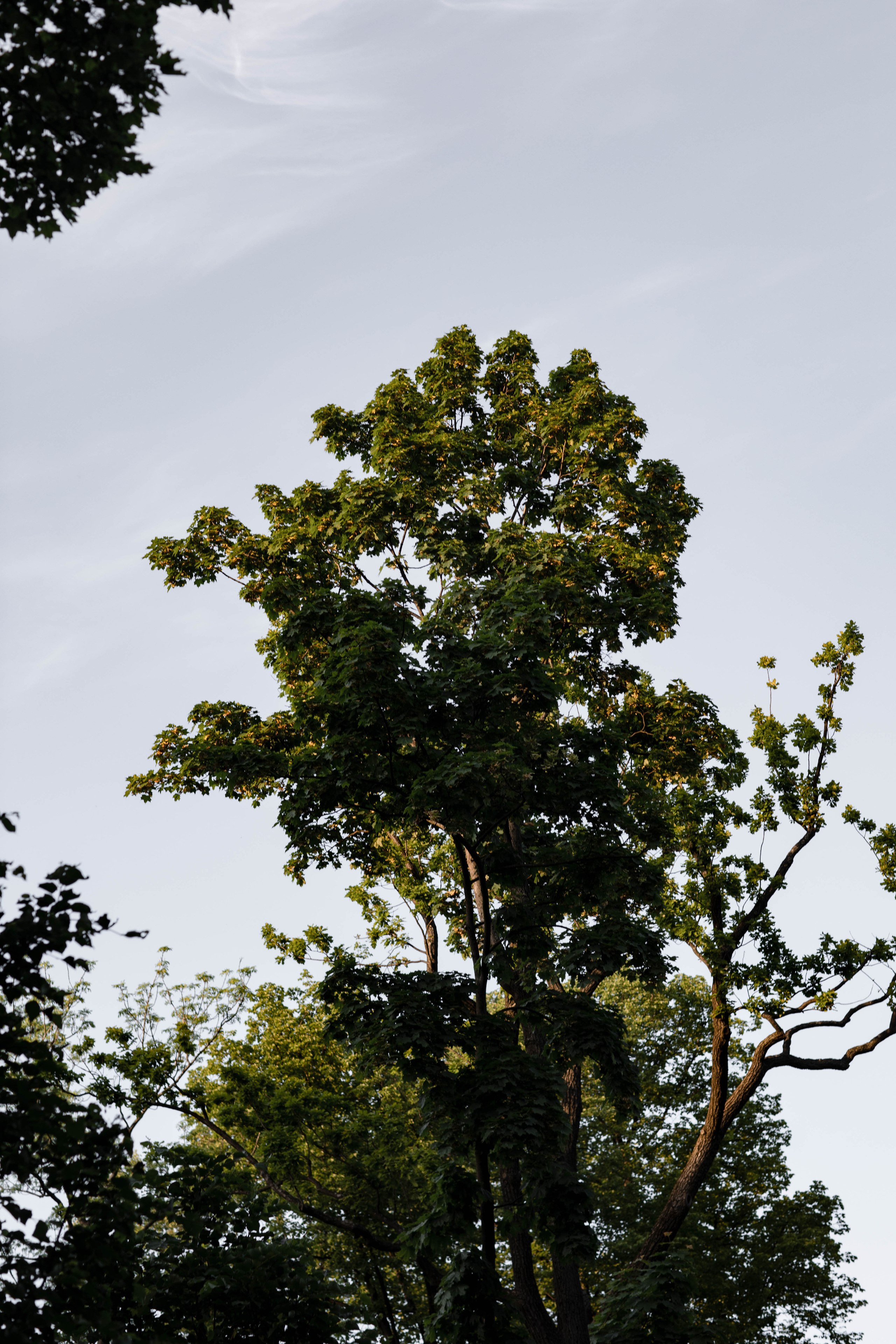 Маша и Влад. @dariazphoto свадебный фотограф