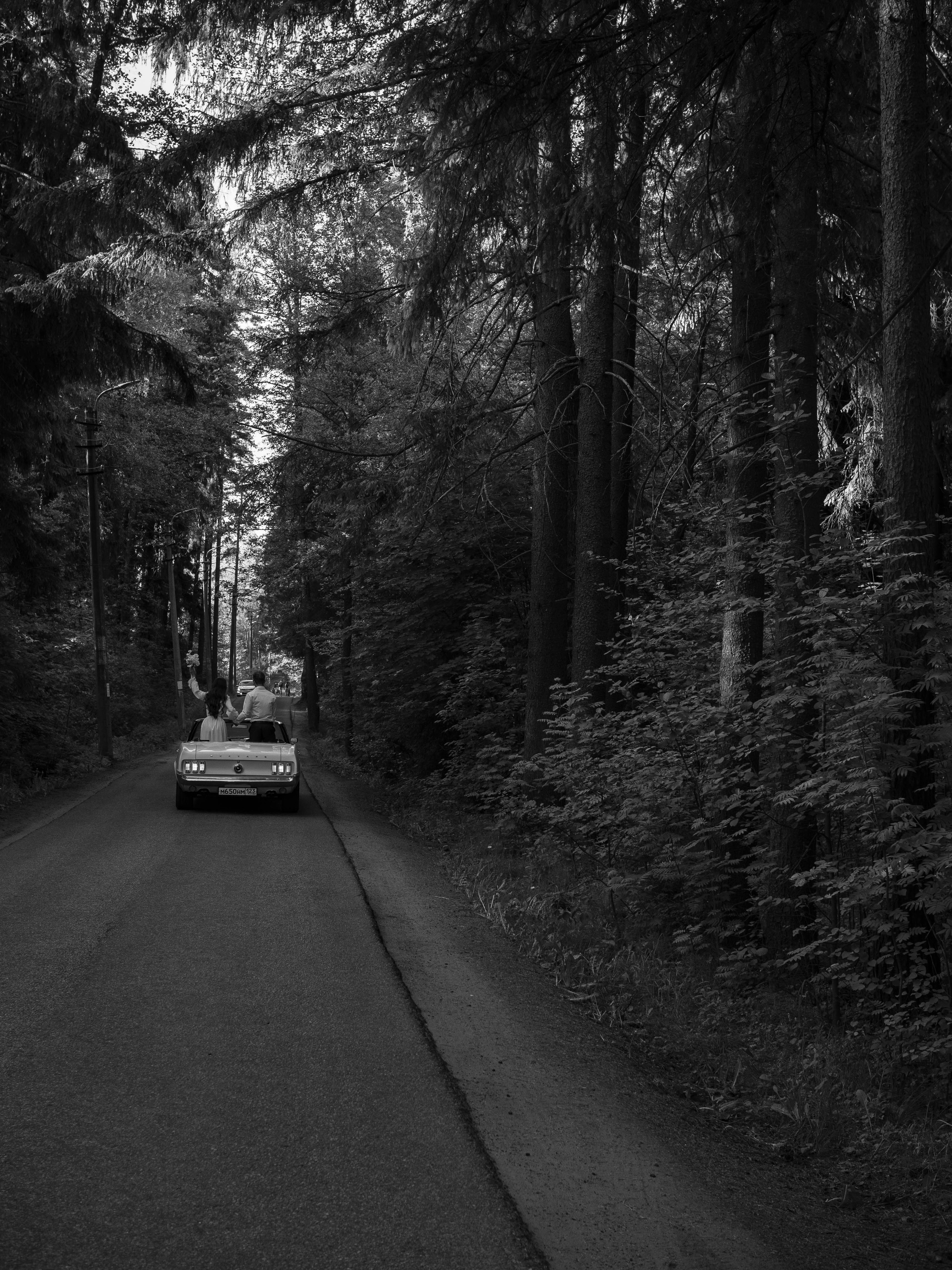 Lll. @dariazphoto свадебный фотограф