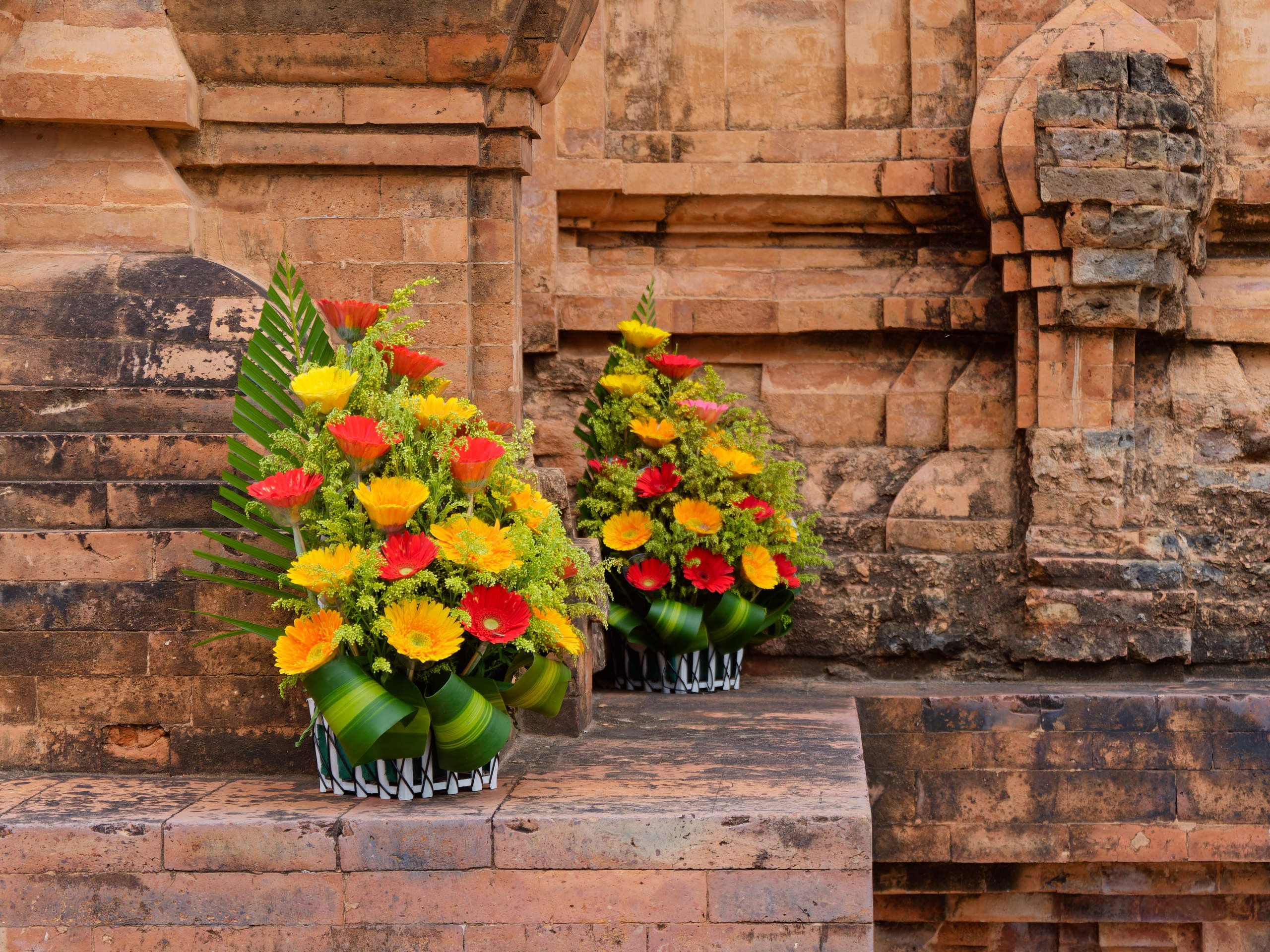 Нячанг 2025 (4). Избранные фотографии