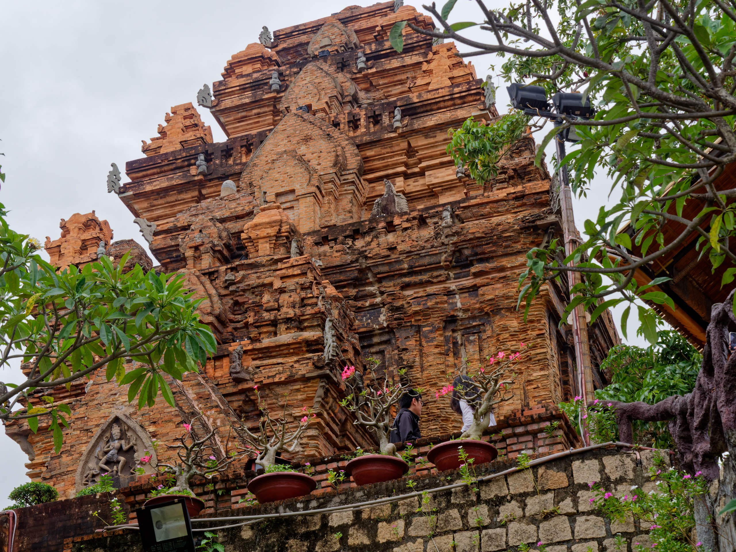 Нячанг 2025 (4). Избранные фотографии