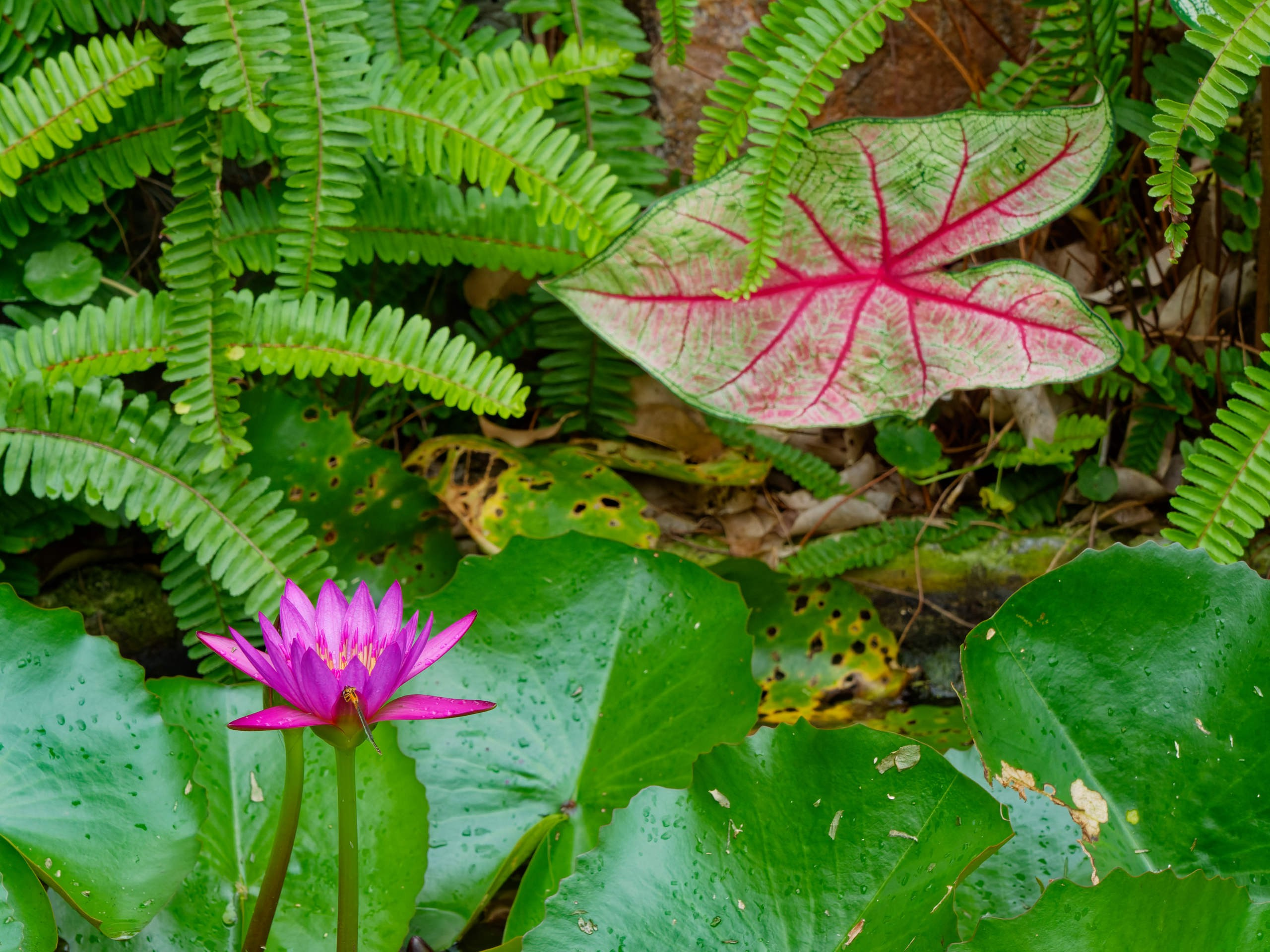 Нячанг 2025 (4). Избранные фотографии