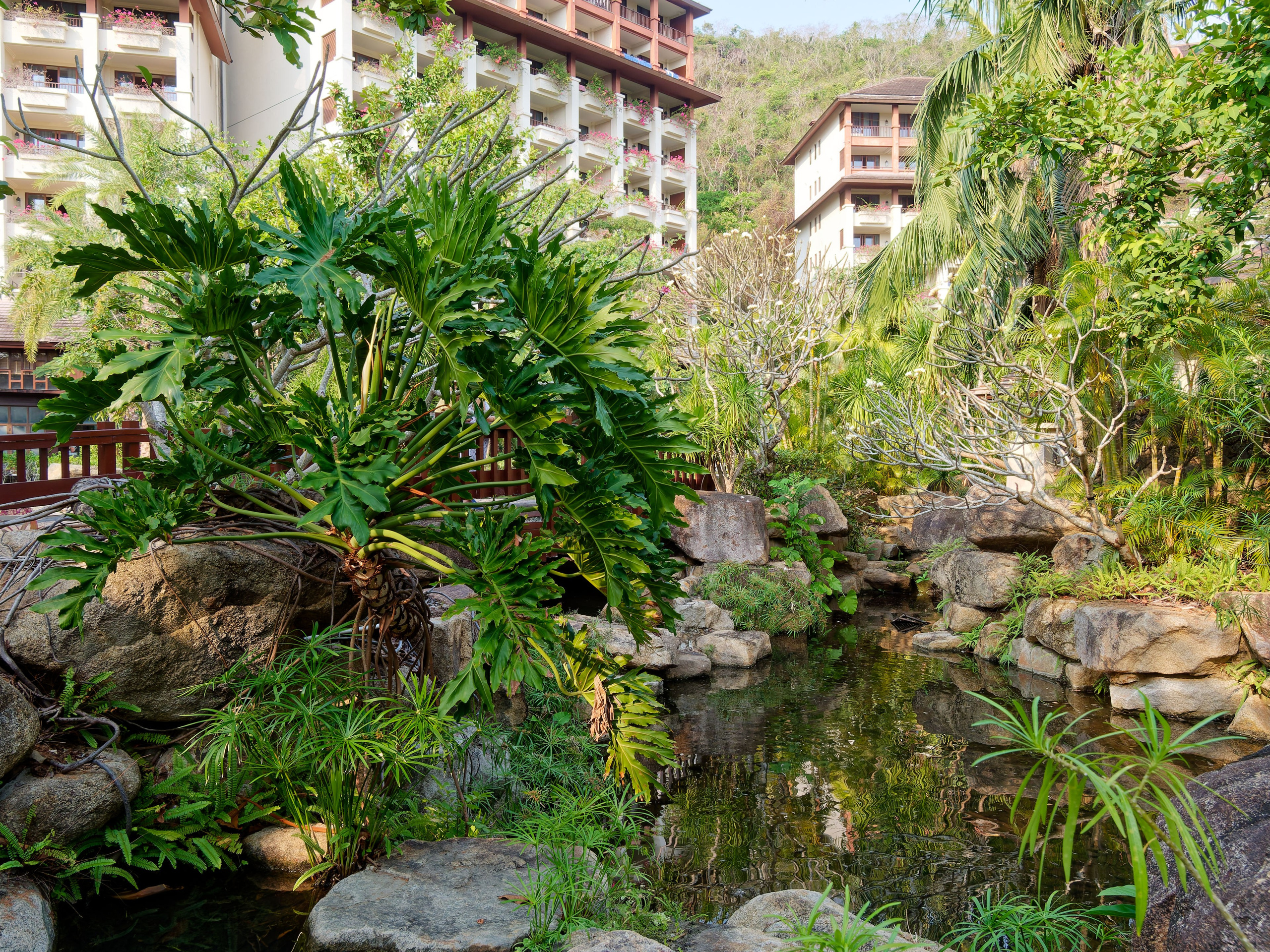 Хайнань 2026, отель «Stony Brook Villa Jianguo Resort Sanya 4*». Фотопрогулки по Миру