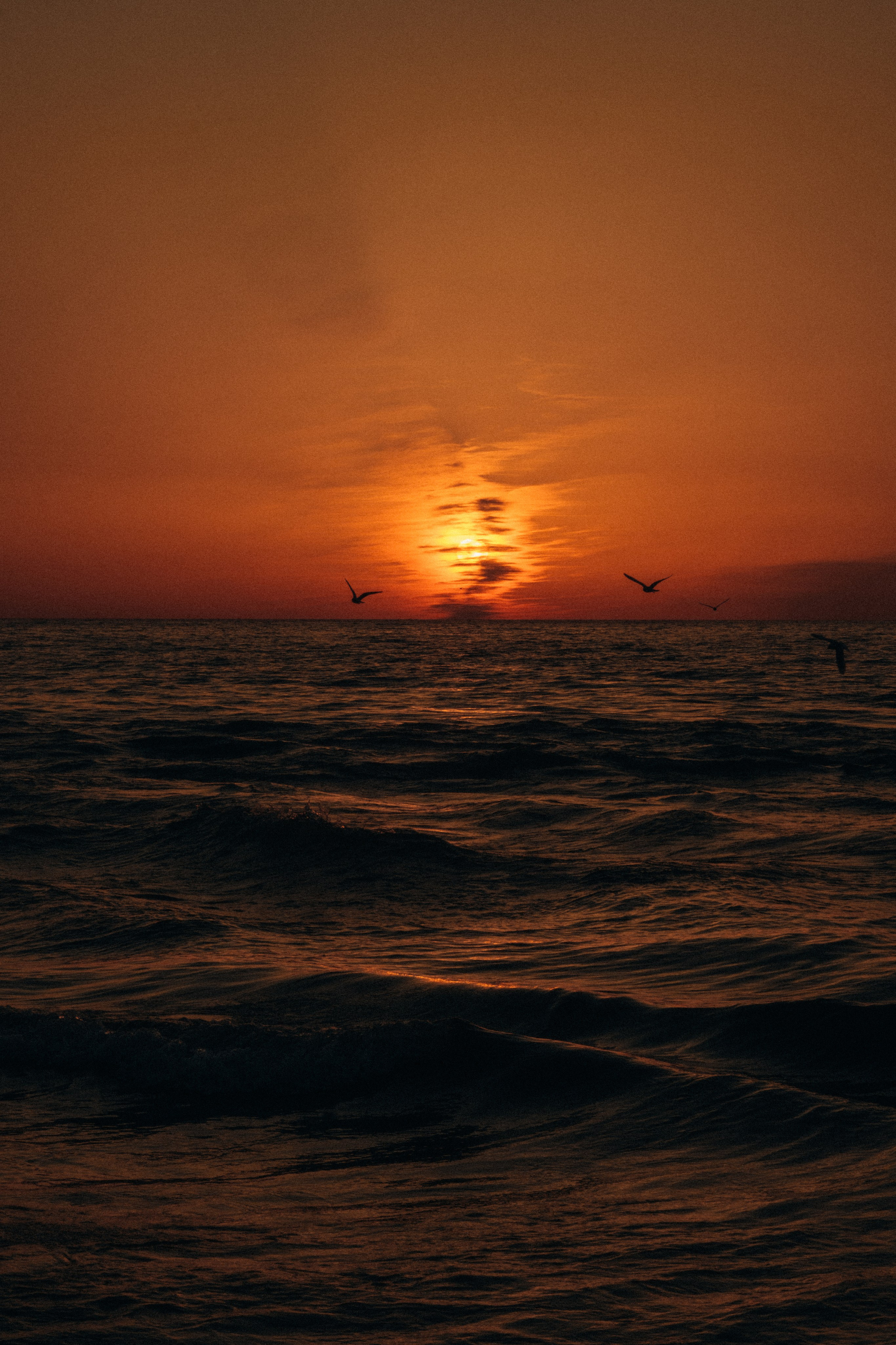 Миро. Свадебный Видеограф Фотограф в Сочи