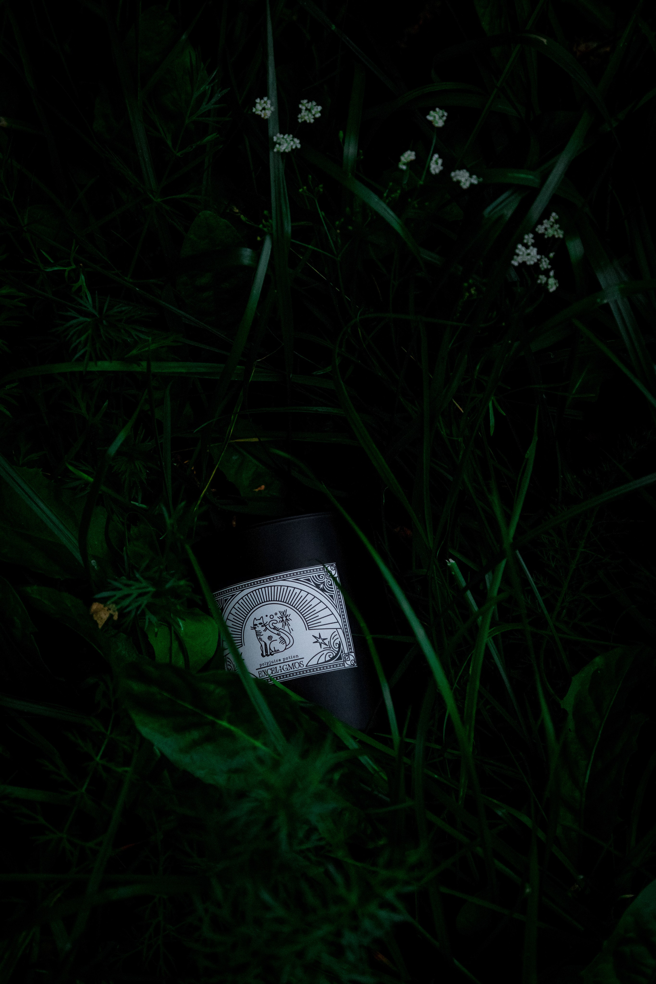 Exceligmos. Фотограф Анастасия Сонина