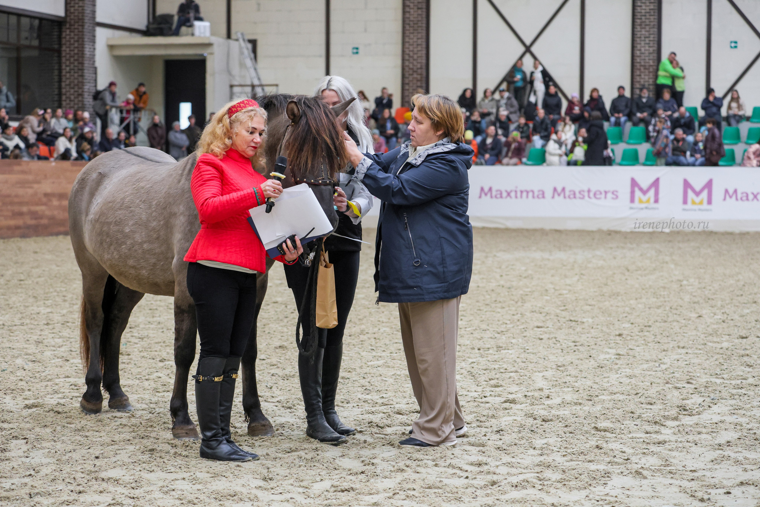 Конная Россия 2024. Irenephoto.ru