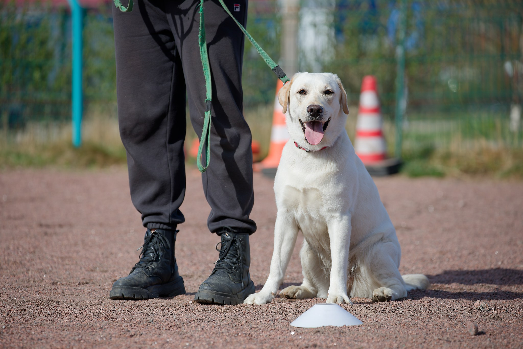 Турнир «Место». Irenephoto.ru