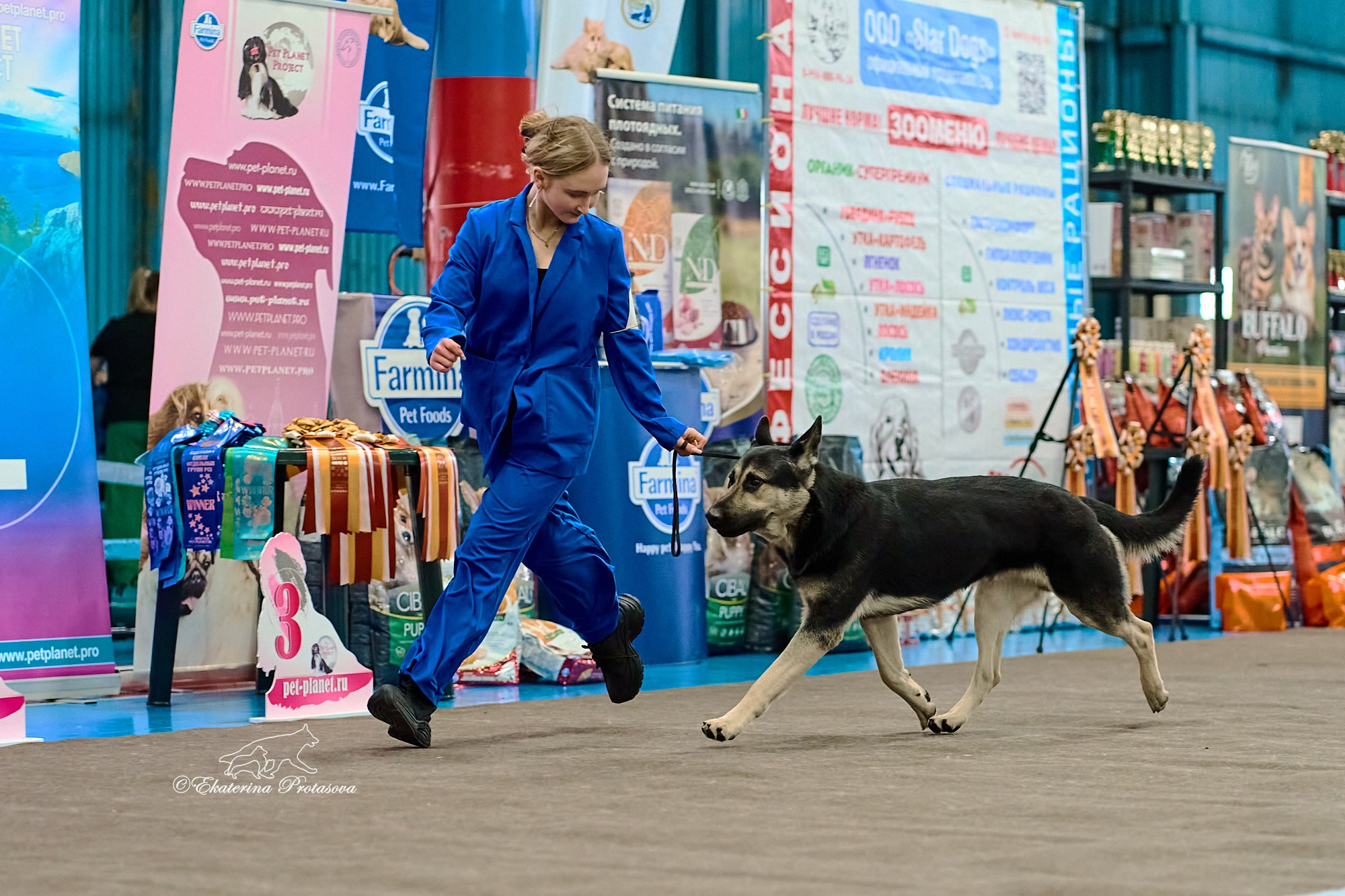 Выставки разное. Фотограф-анималист в Иркутске