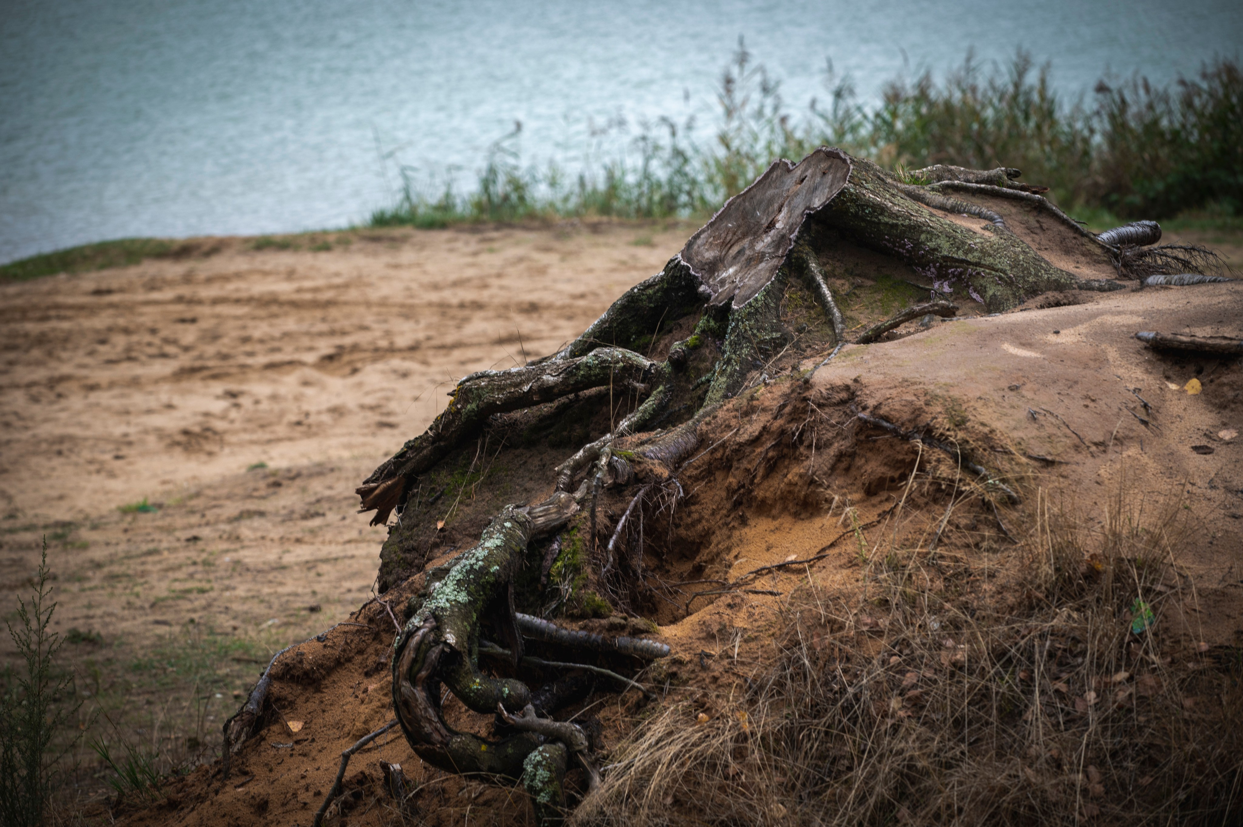 Фотопрогулка ДР. Фотограф Роман Адлер