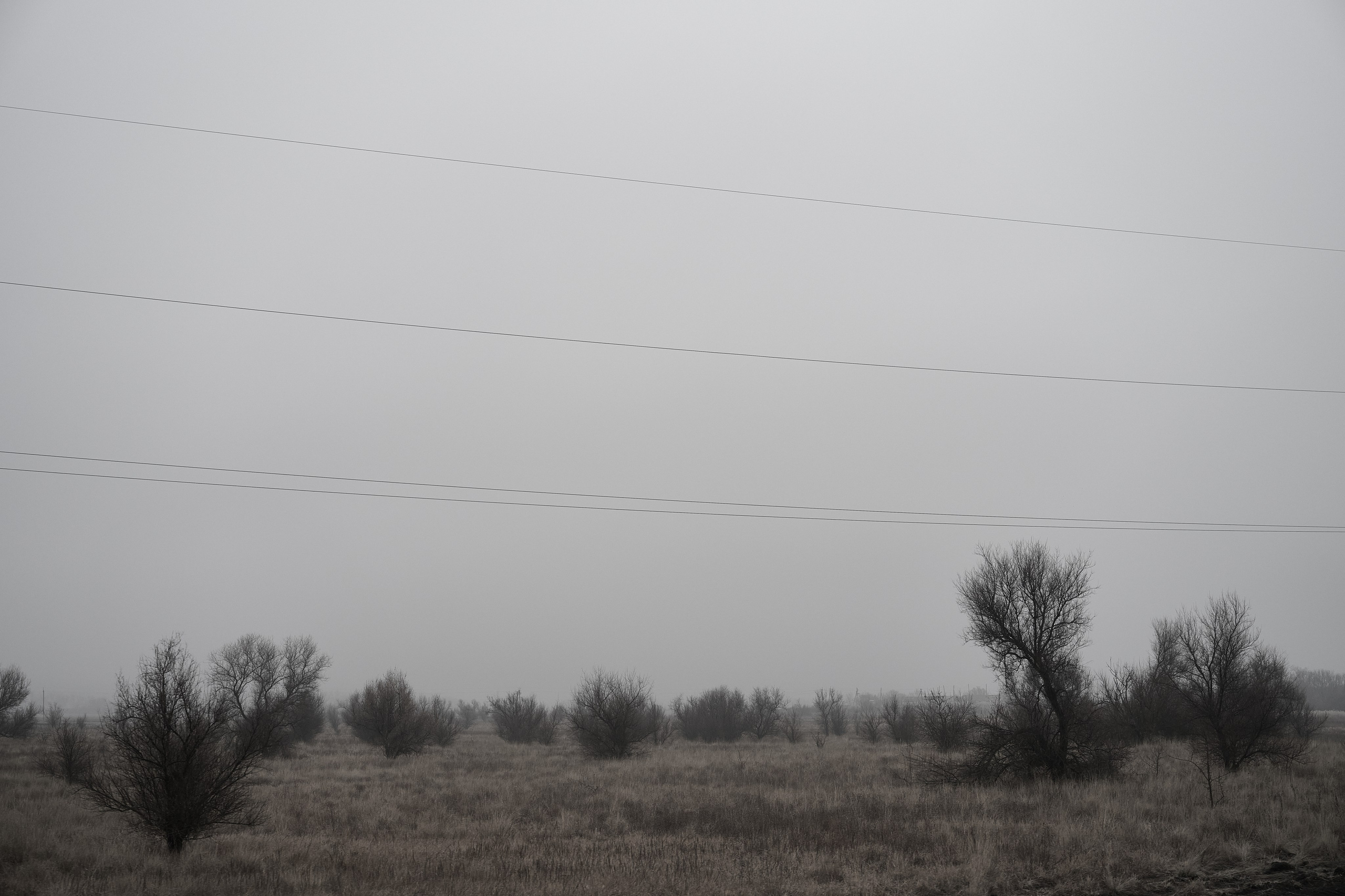 Дорога домой. Туман. Фотограф Роман Адлер