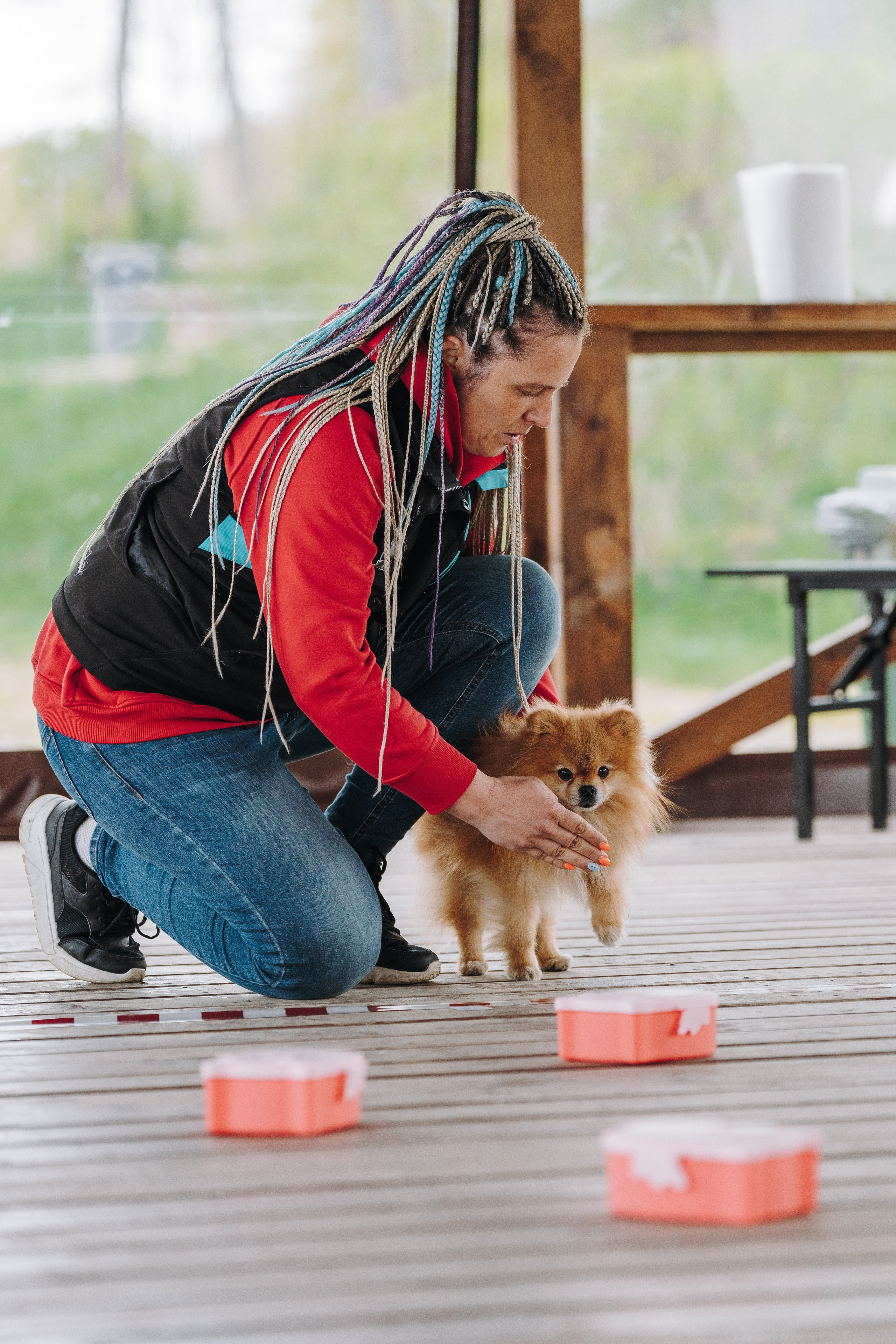 Соревнования по ноузворку в Лосево. Фотограф анималист в Спб недорого Олеся Майорова