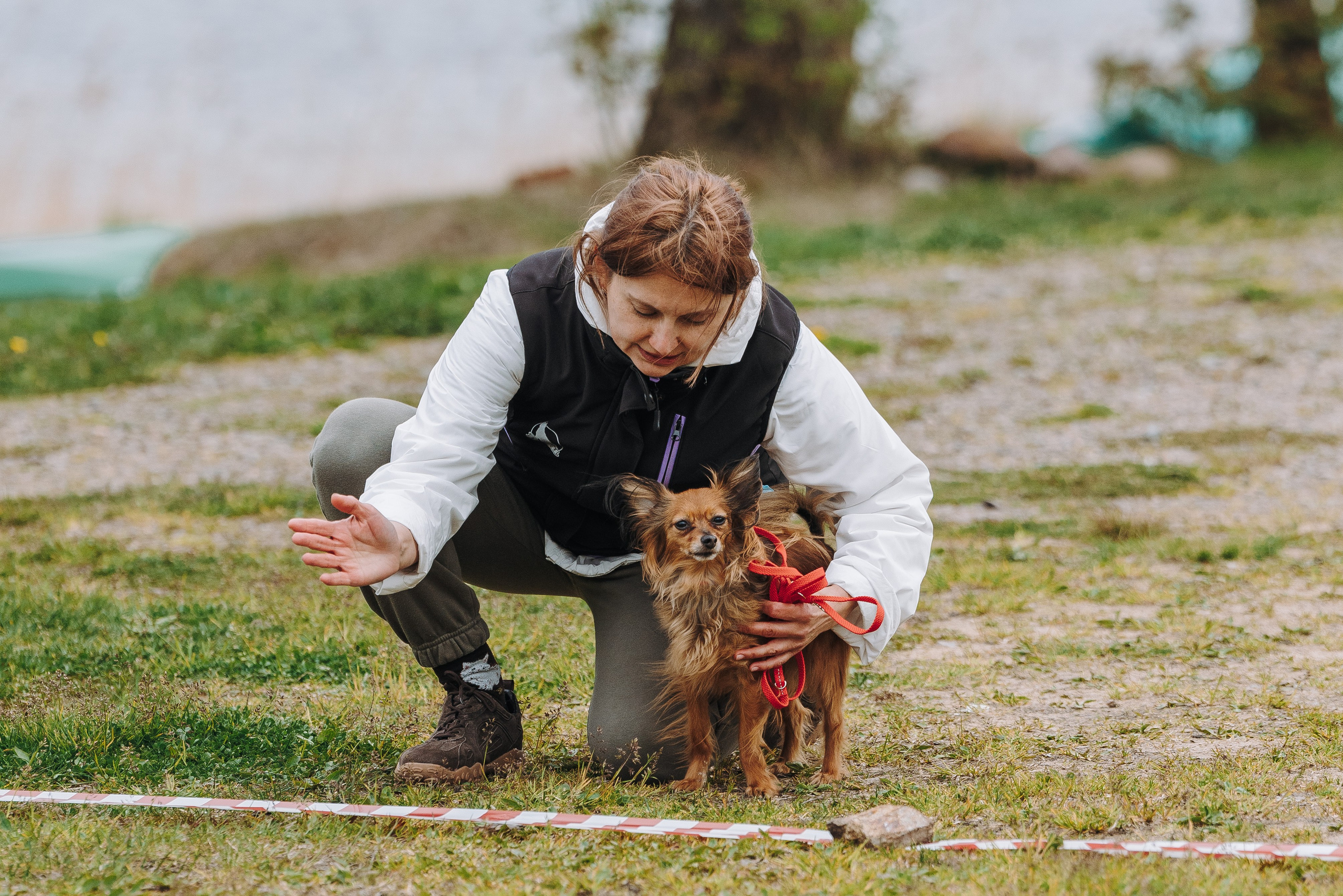 Соревнования по ноузворку в Лосево. Фотограф анималист в Спб недорого Олеся Майорова