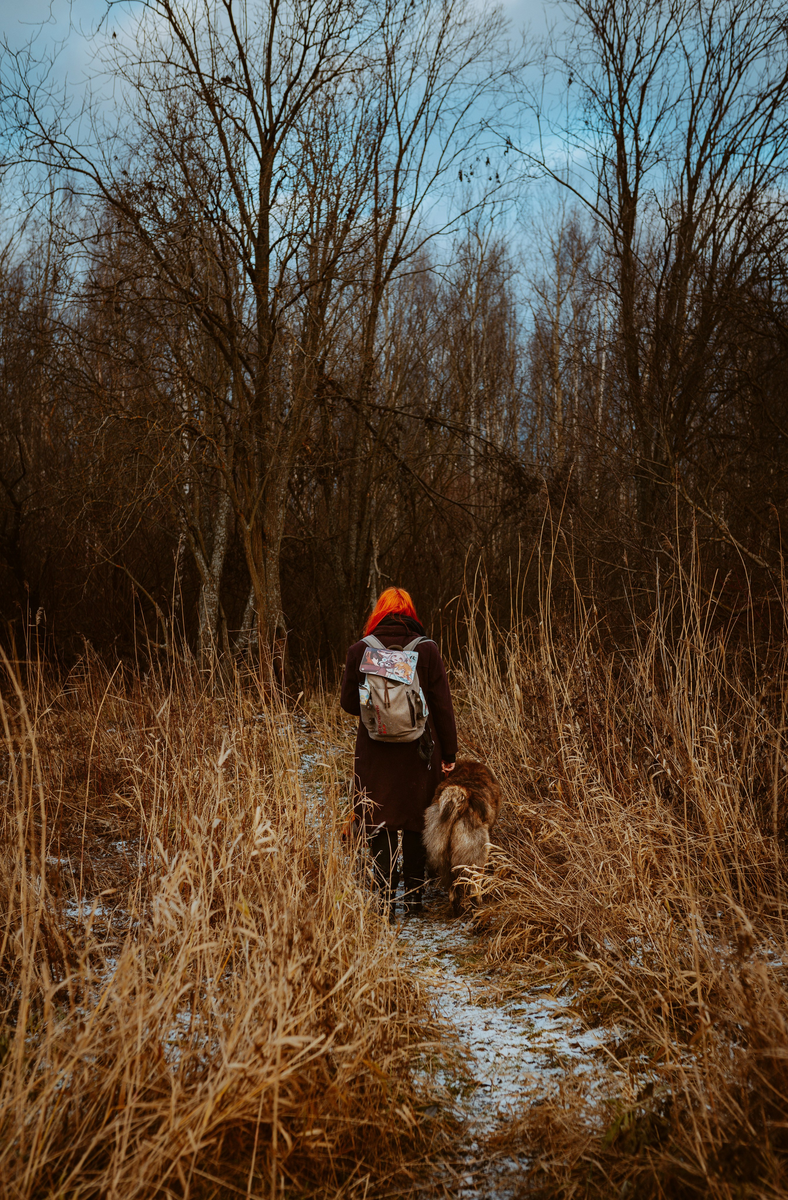 Творческая фотосессия фотографа анималиста. Фотограф анималист в Спб недорого Олеся Майорова
