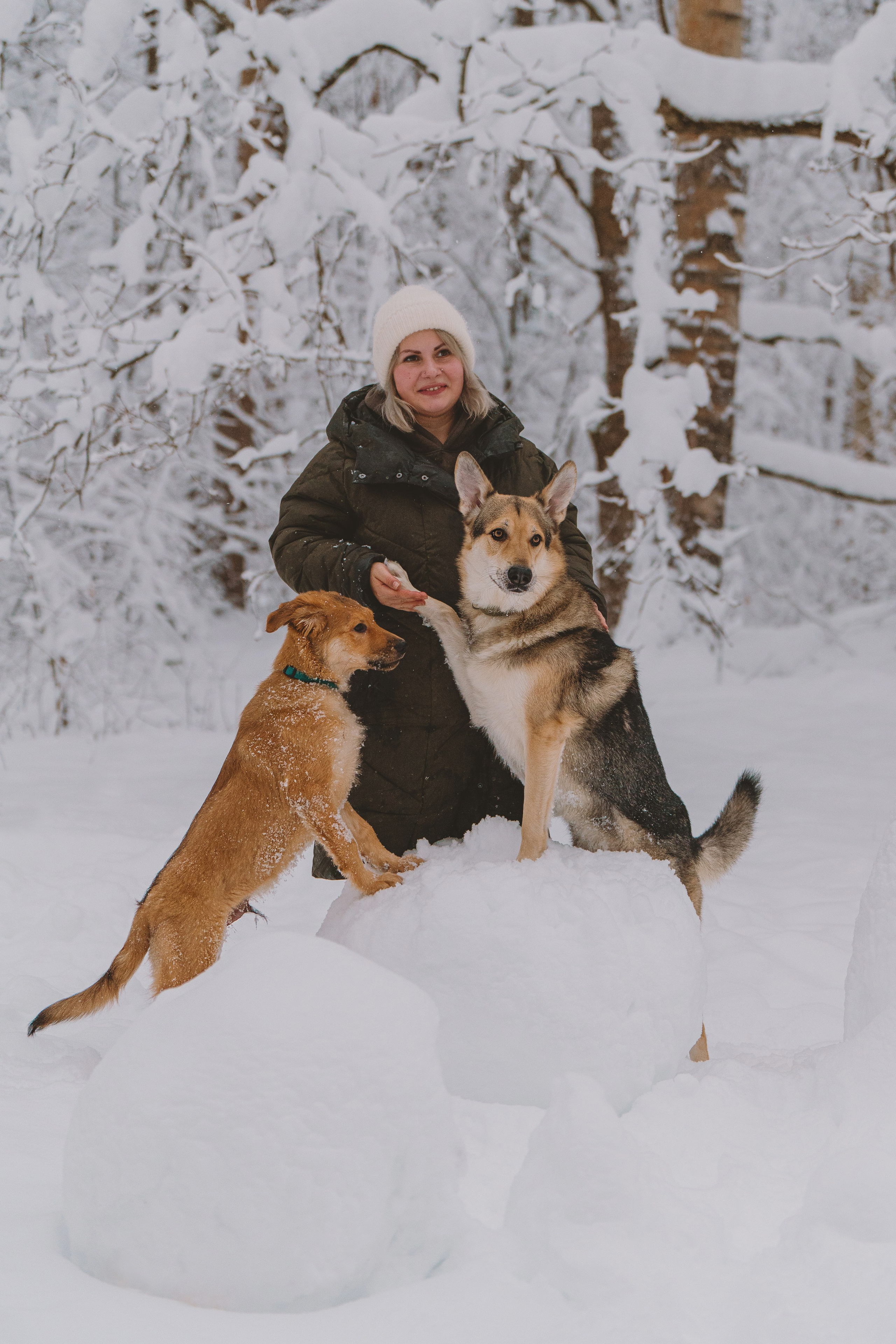 Фотосессия с питомцами на природе. Фотограф анималист в Спб недорого Олеся Майорова