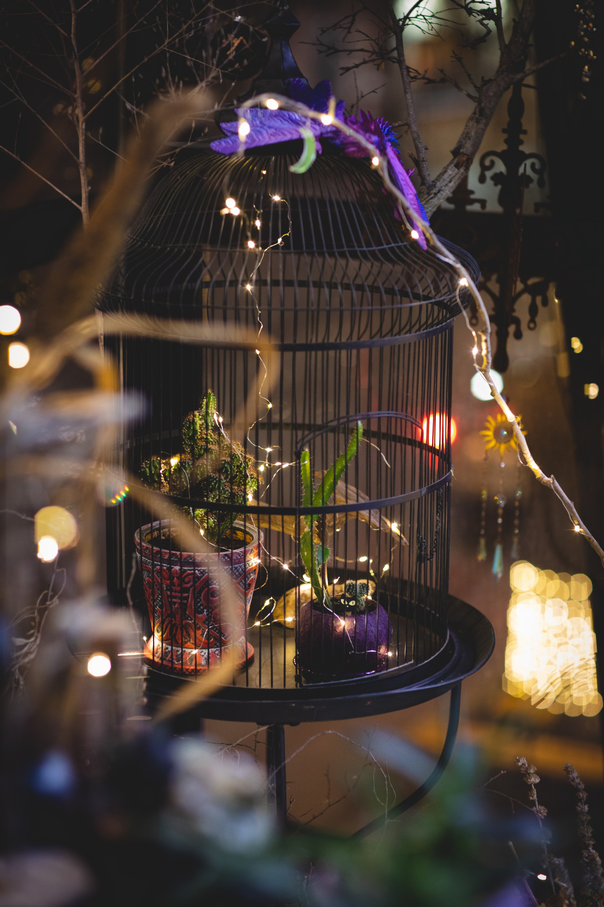 МАРТ-лавка красивых вещей). Семейный фотограф в Москве Анастасия Гурьянова