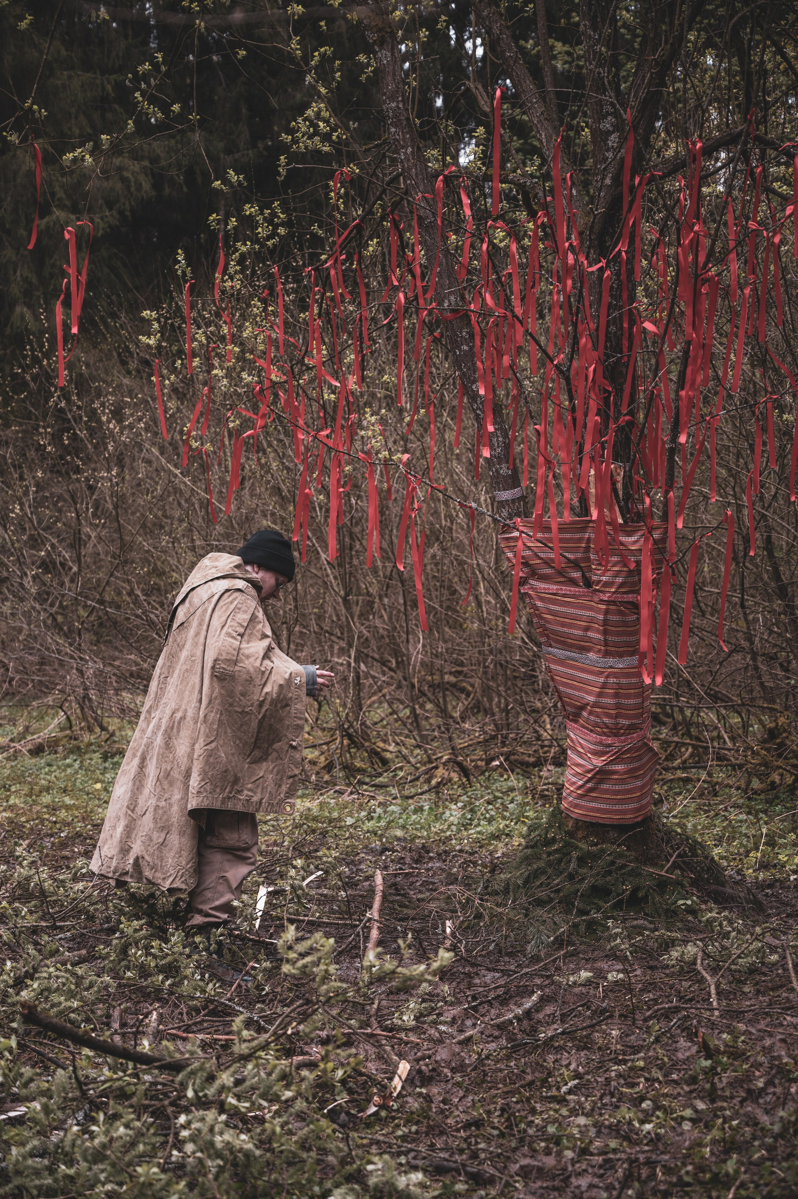 Красная Ленточка. Фотограф Мария