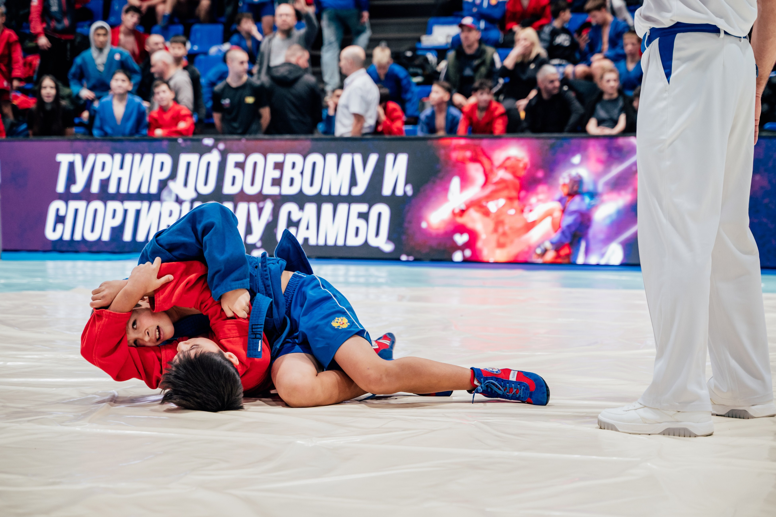 Турнир по самбо ЮФО