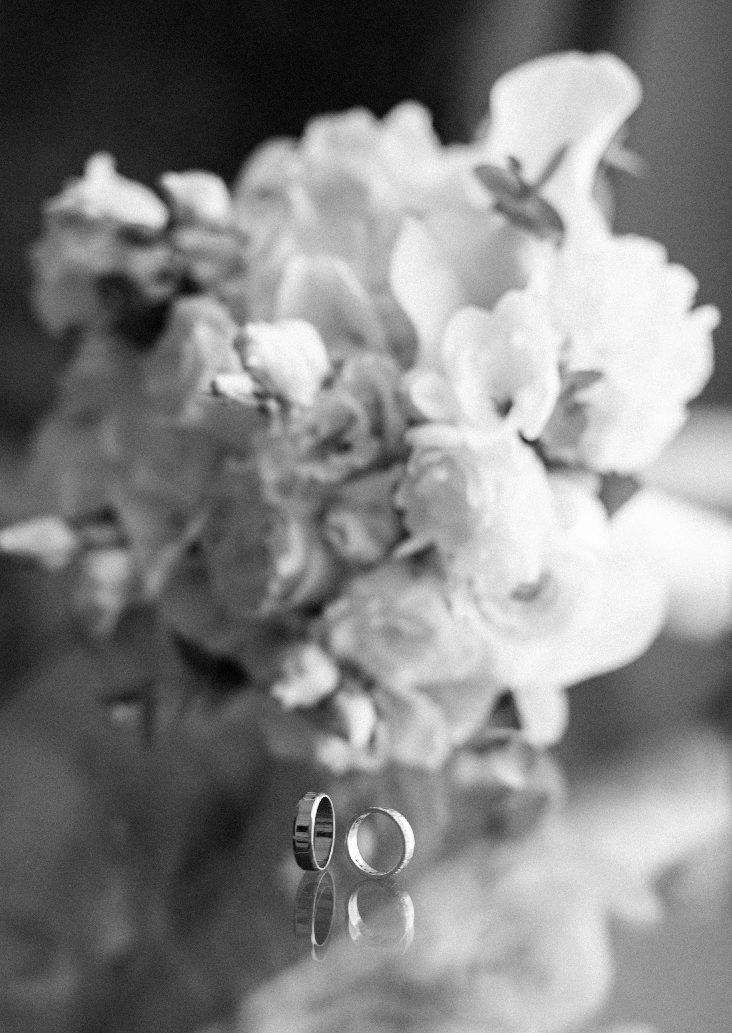 V&K. Свадебный и семейный фотограф Витебск