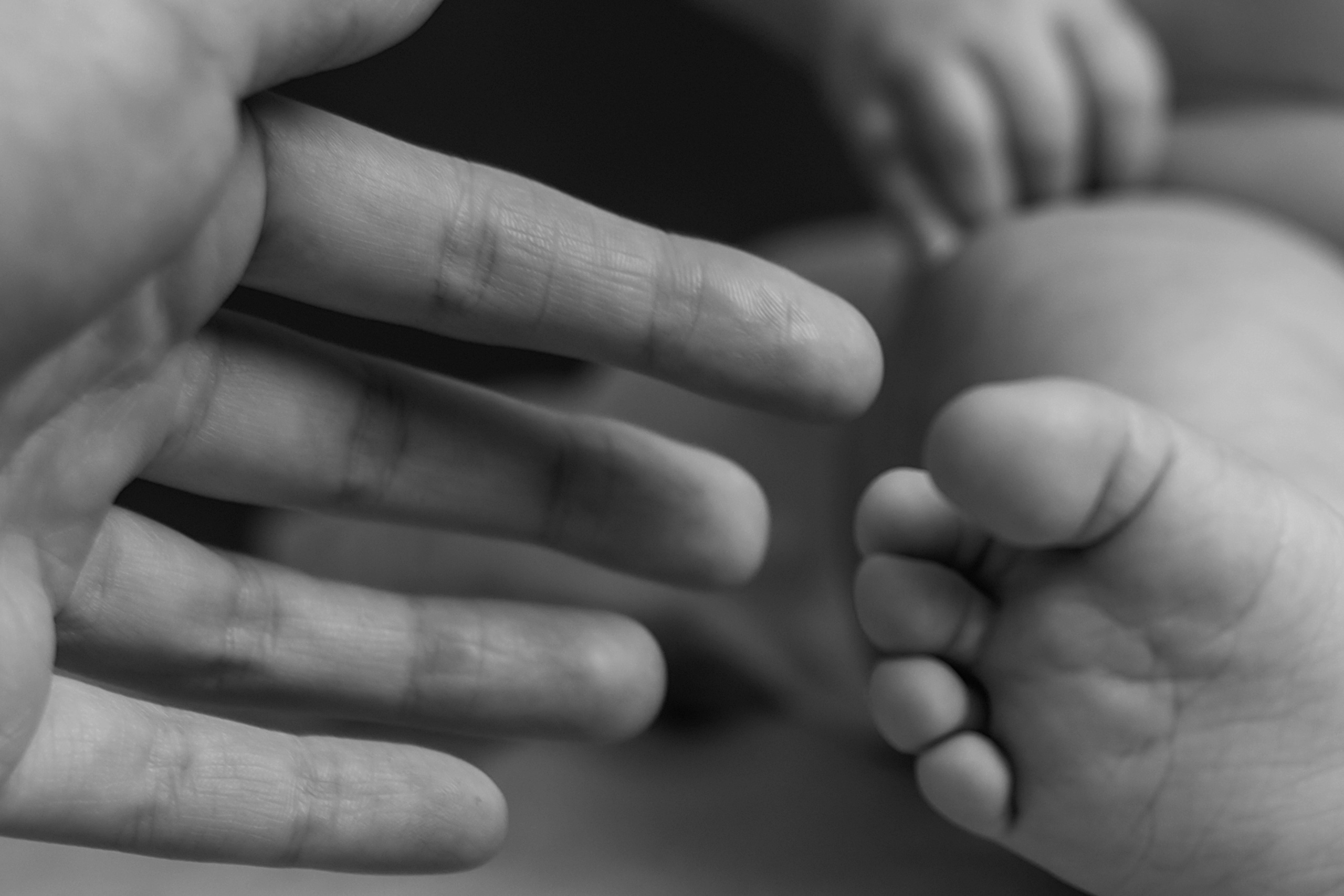 КРИСТИНА И АГНЕШКА. КРИСТИНА ГУСЬКОВА