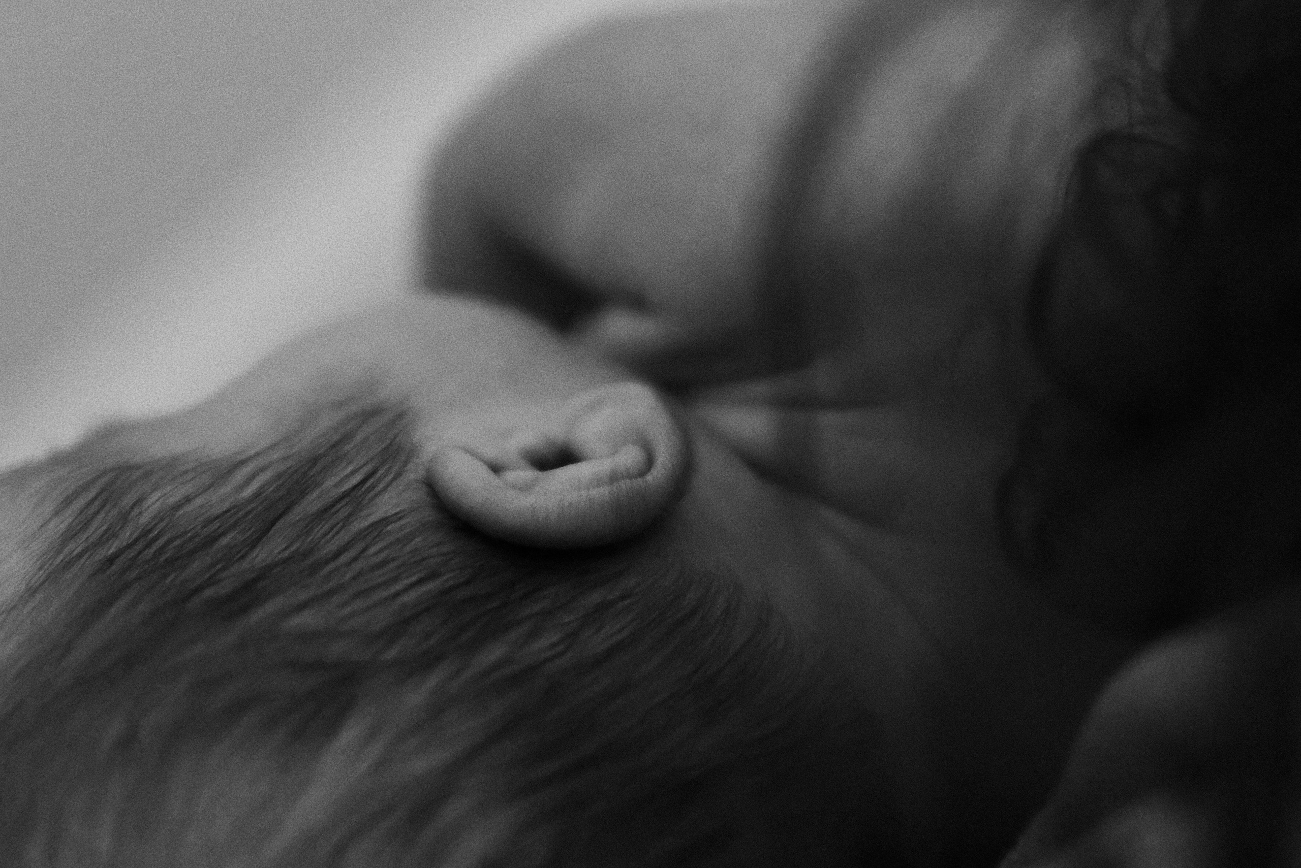 ПО ЛЮБВИ. КРИСТИНА ГУСЬКОВА