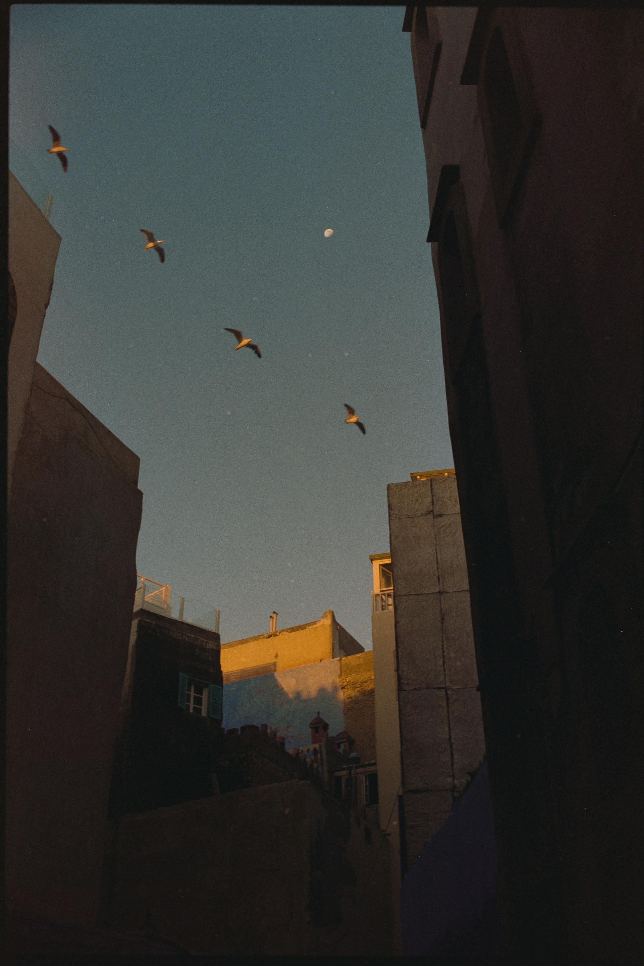 Марокко (плёнка Алёны). Игорь Гичка. Портрет с любовью