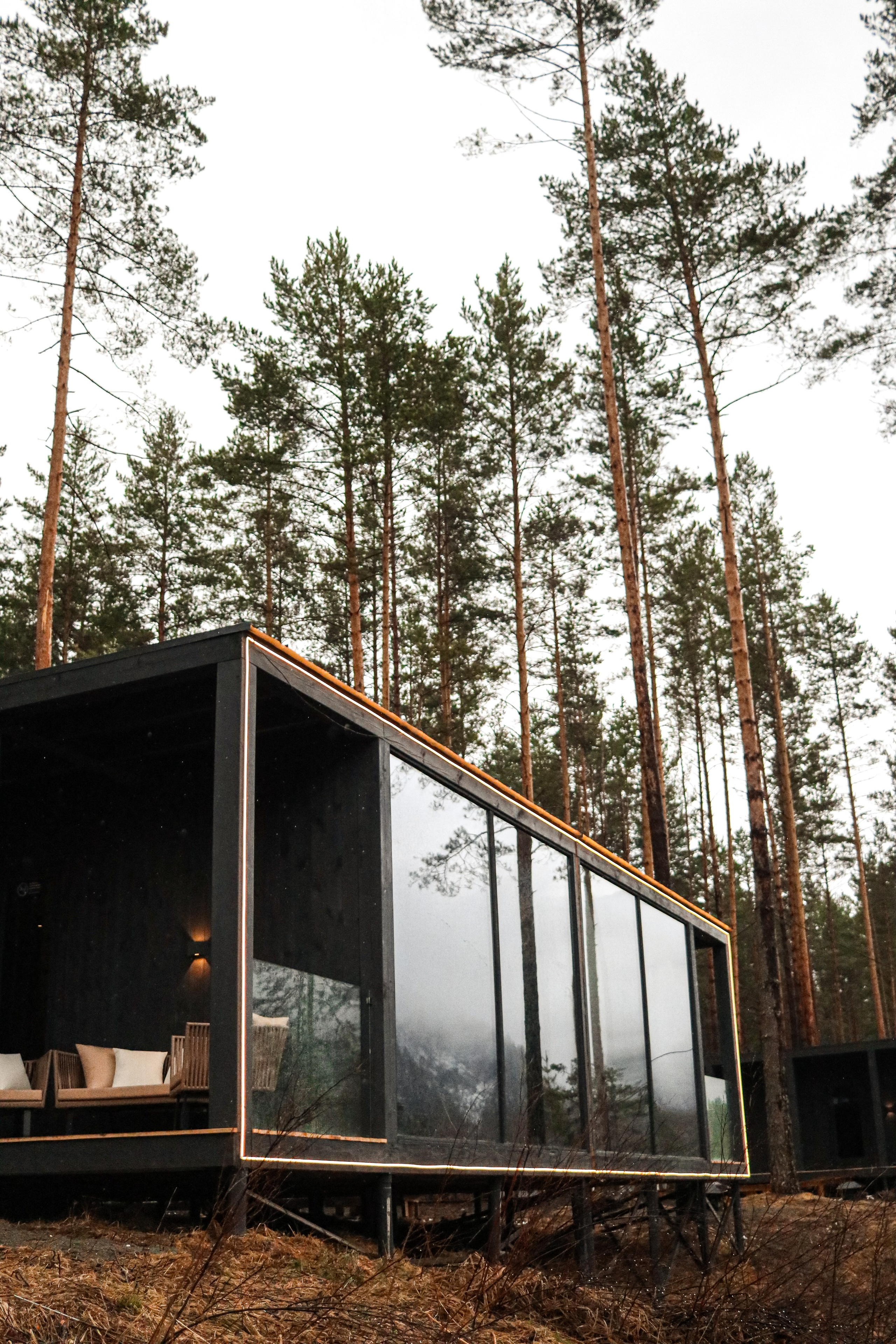 «Pinewood» парк-отель, респ. Алтай. Контент фотограф Дмитрий Борисов