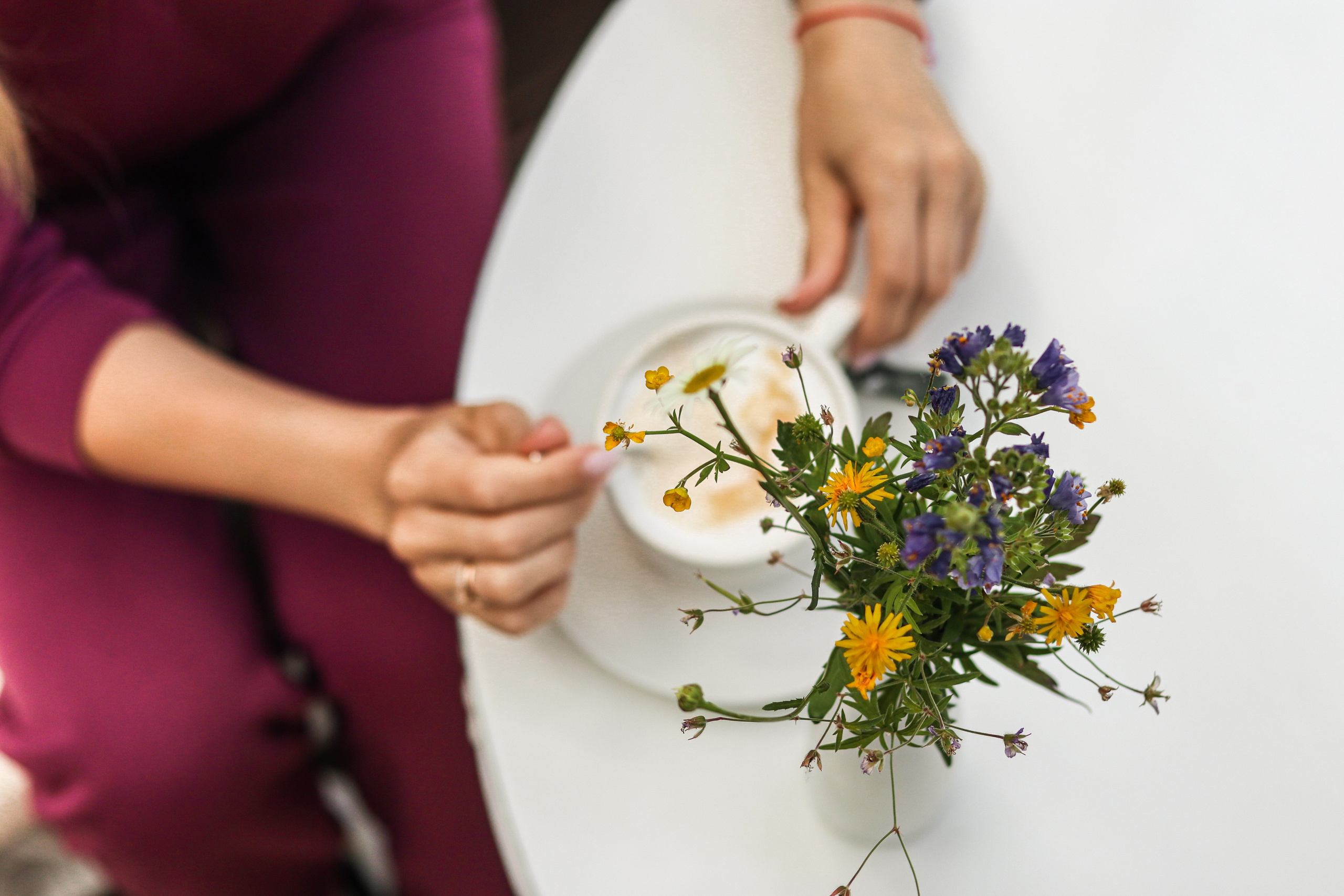 «Pinewood» парк-отель, респ. Алтай. Контент фотограф Дмитрий Борисов
