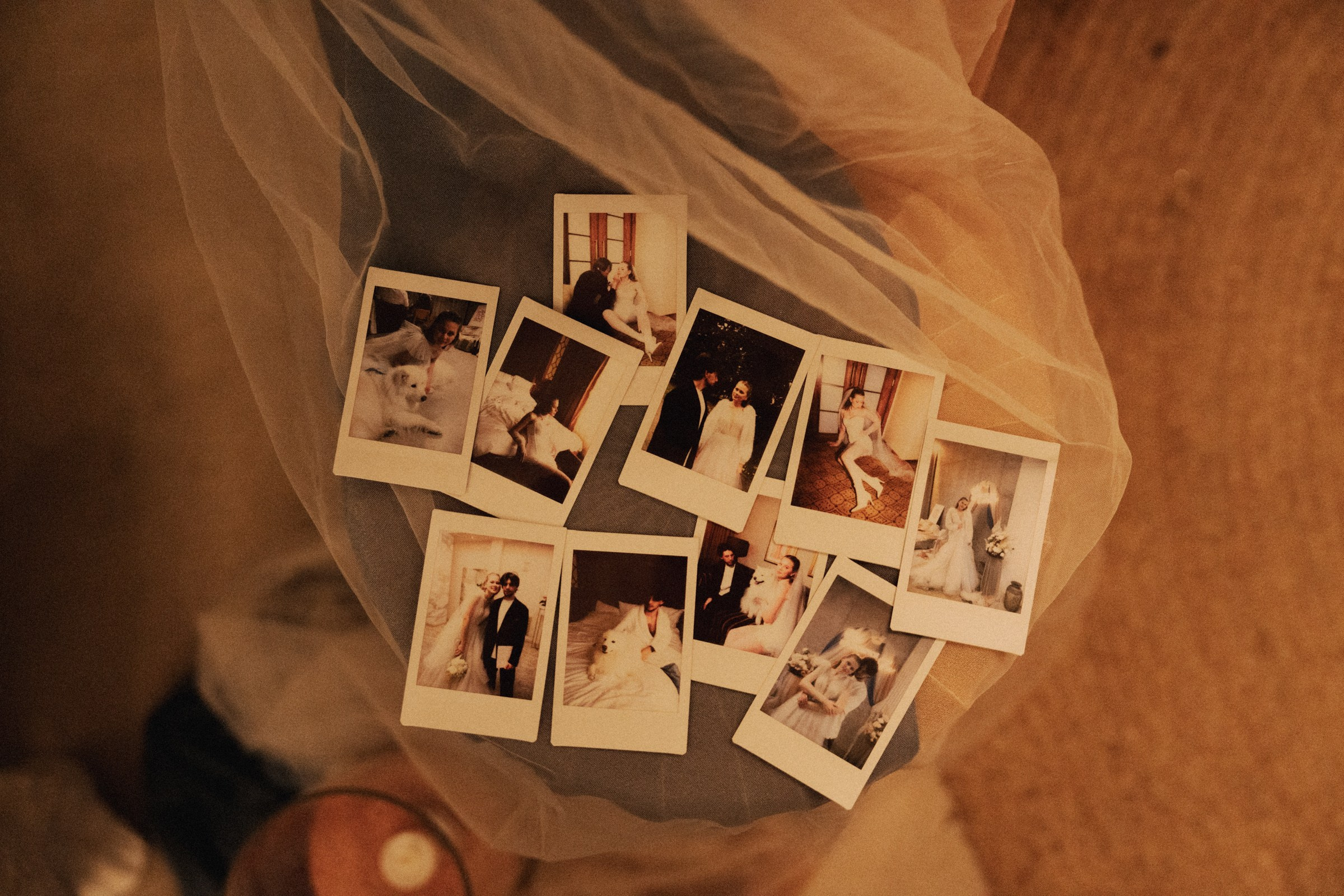 Д ♡ Е — Пушистая верность и клубника на торте. Свадебный и портретный фотограф в Москве, Светлана Янковая