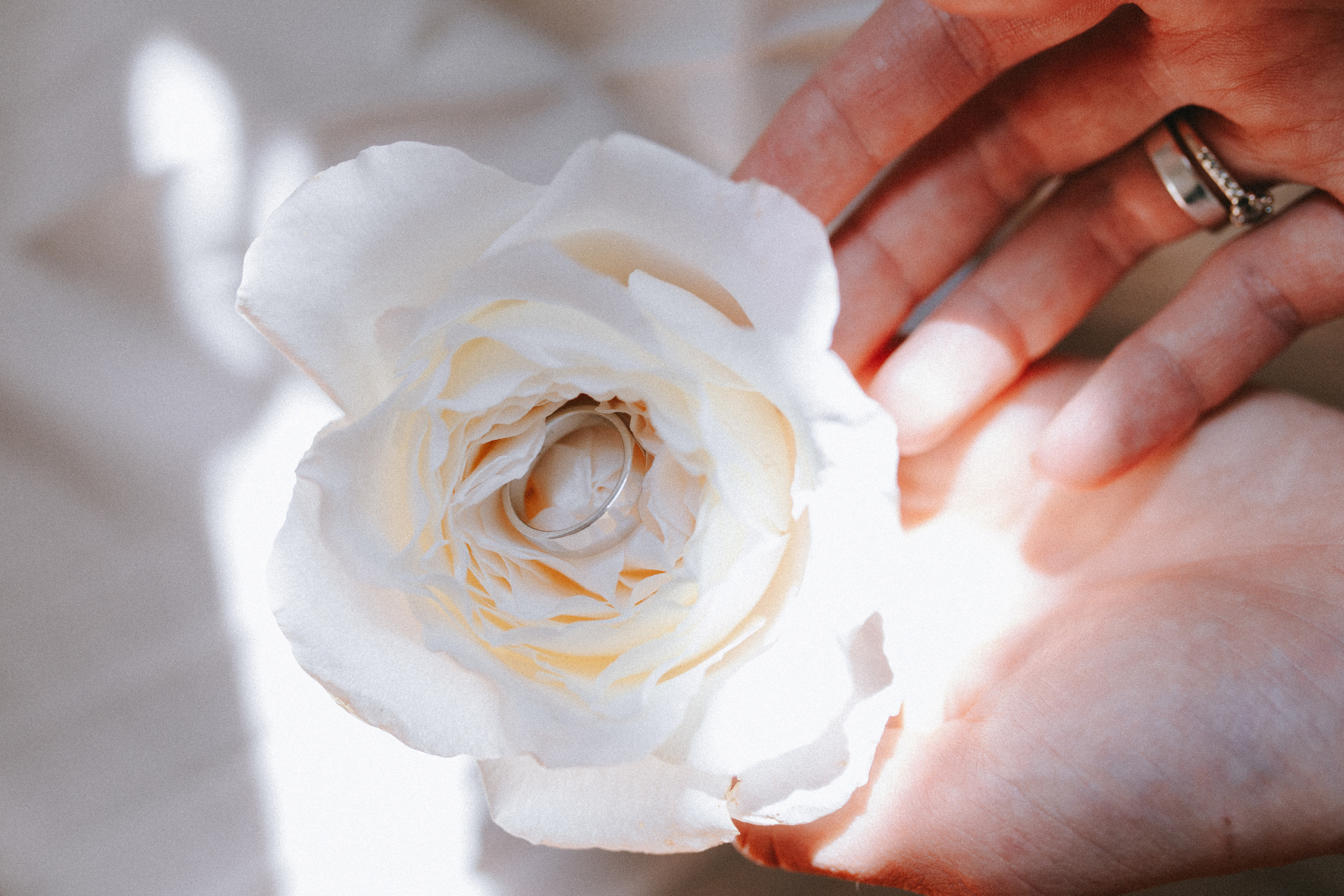 N&N. Фотограф Юля Королёва