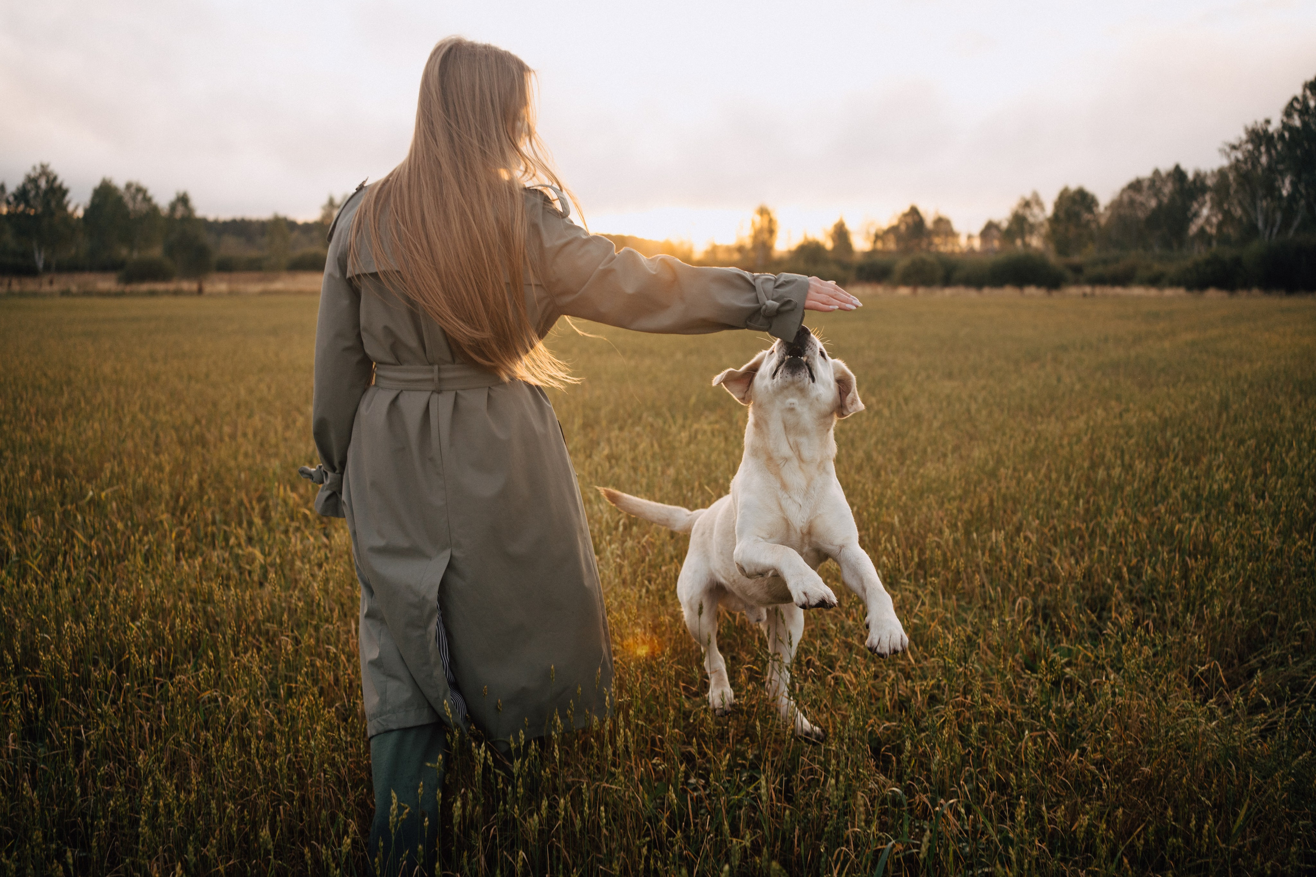 Дана и Арчи. Фотограф-анималист Анастасия Большакова