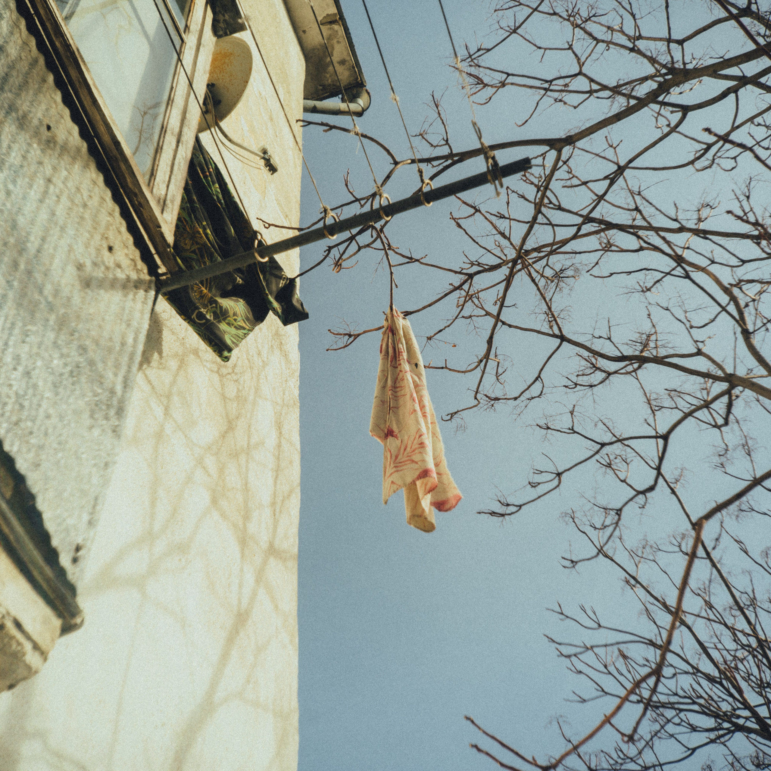 Daily. VISUAL ARTIST · KRONGAUZ ANASTASIA