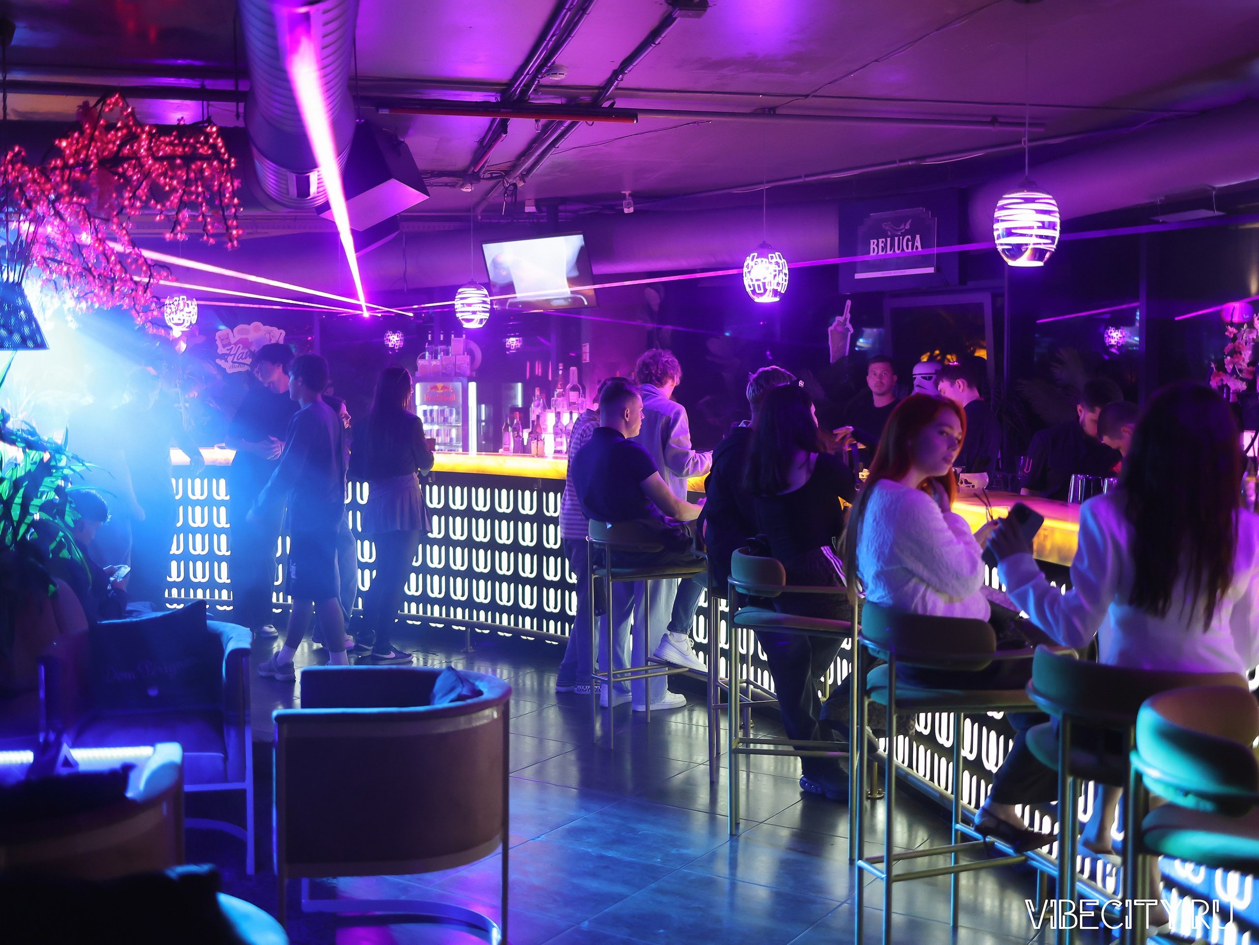 DOUBLE U. VIBECITY.RU Вайб Сити Ру Фоторепортажи Фотоотчеты Калининград