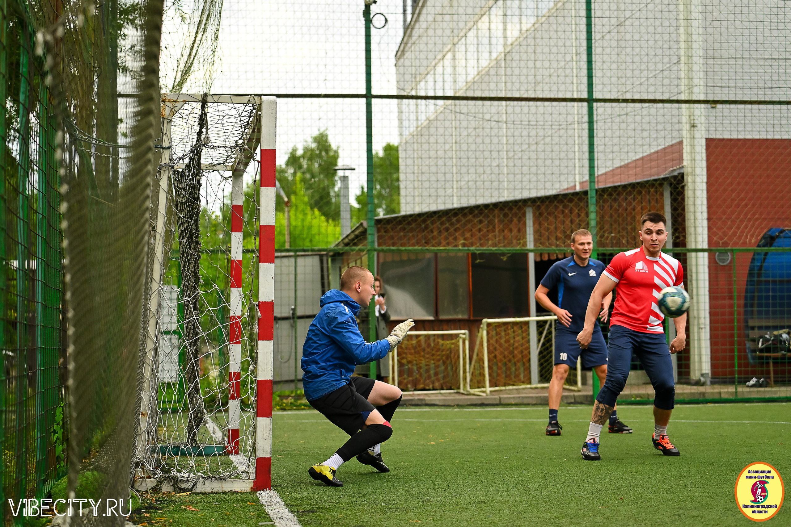 ИГРЫ МИНИ-ФУТБОЛЬНОЙ И КОРПОРАТИВНОЙ ЛИГИ. VIBECITY.RU Вайб Сити Ру Фоторепортажи Фотоотчеты Калининград