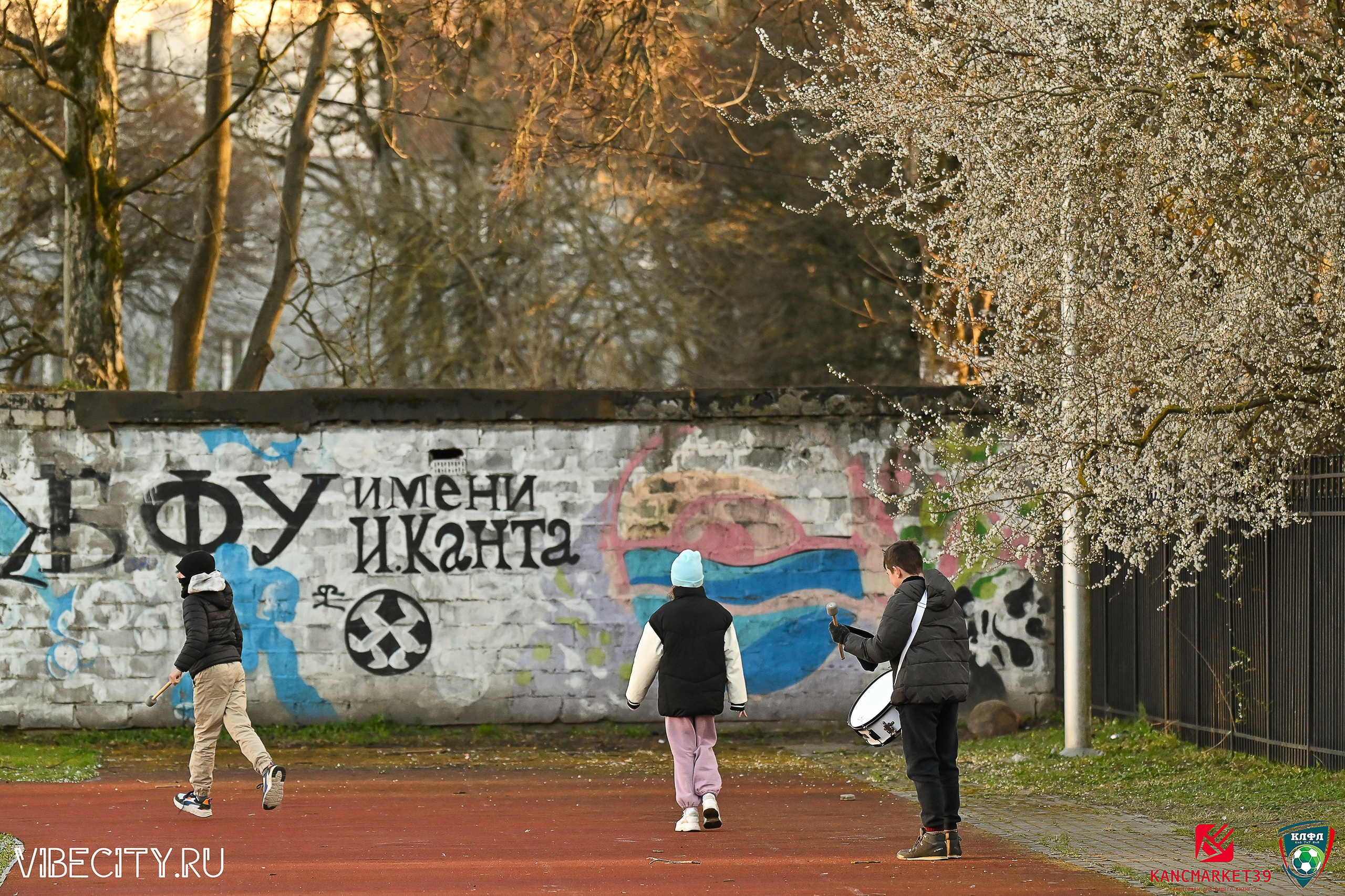 XX ЧЕМПИОНАТ КАЛИНИНГРАДСКОЙ ЛФЛ КАНЦМАРКЕТ39 сезона 2024–2025 гг. VIBECITY.RU Вайб Сити Ру Фоторепортажи Фотоотчеты Калининград