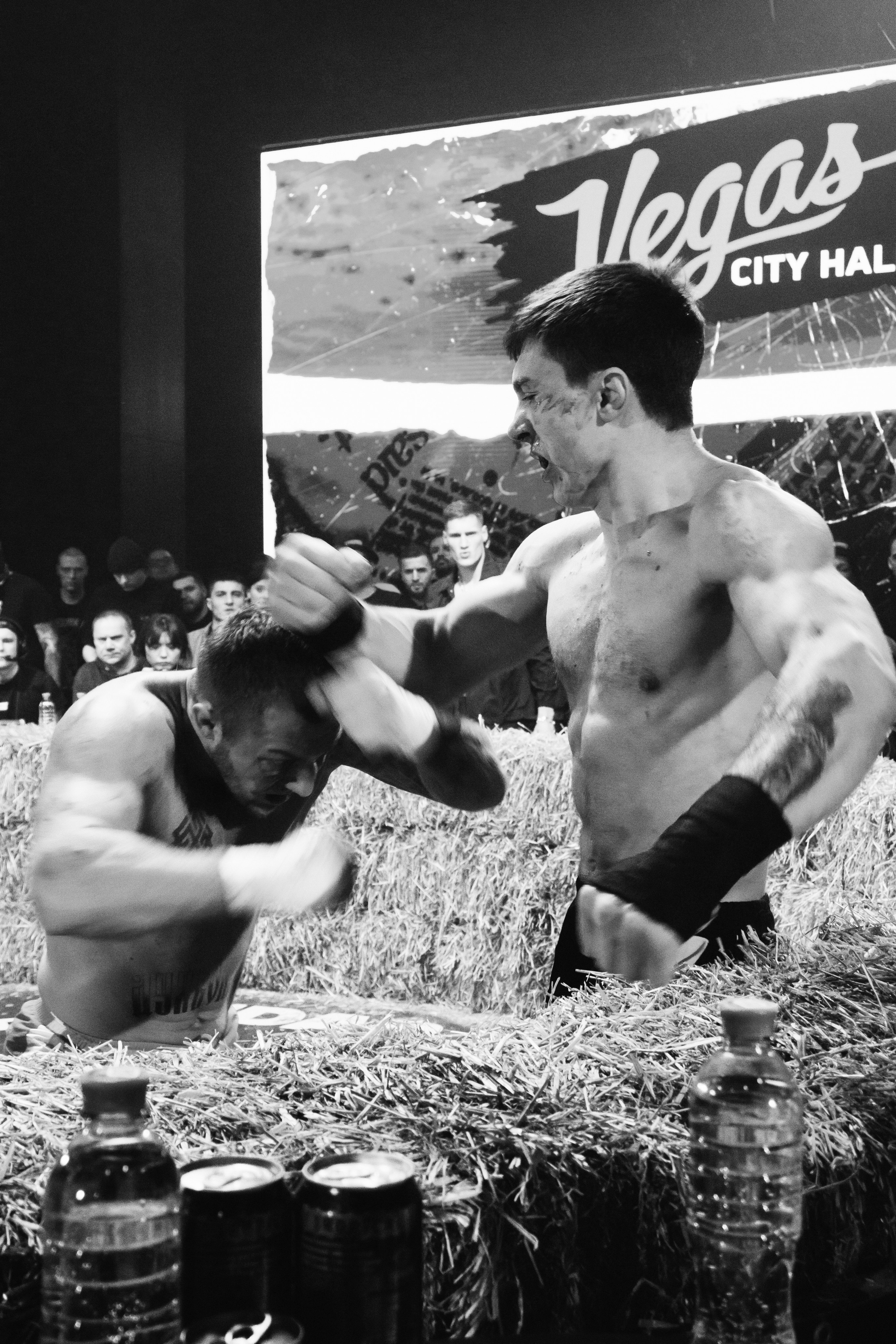 Кулачные бои TopDog. Анастасия Тен