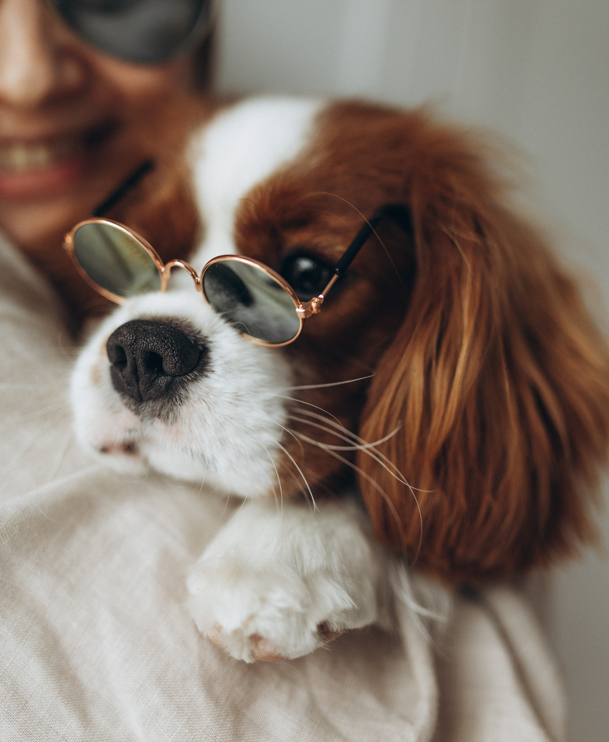 Лучшие друзья